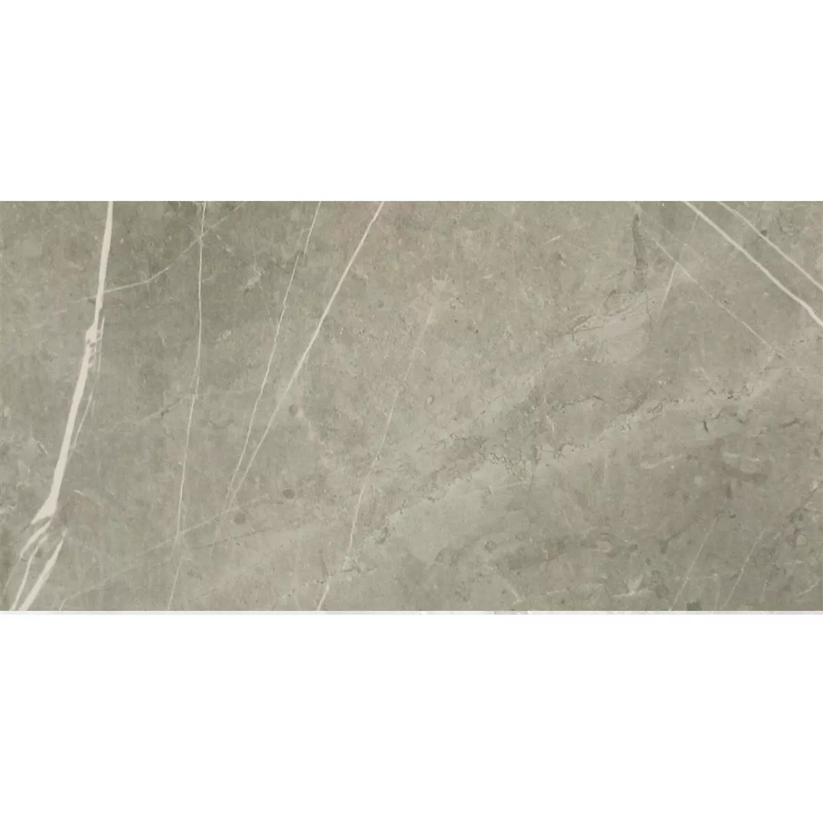 Πρότυπο Πλακάκια Δαπέδου Astara Eμφάνιση Φυσικής Πέτρας Αμεμπτος Grey 30x60cm