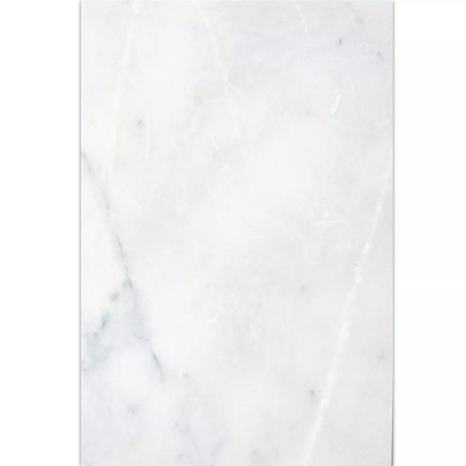 Naturstein Fliser Marmor Treviso Hvit 40,6x61cm