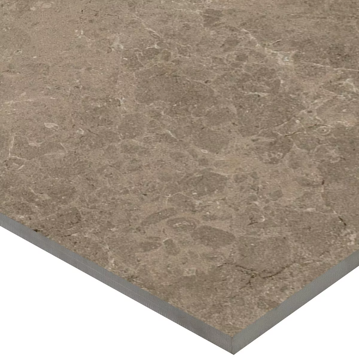 Terrastegels Porselein steengoed Arizona Taupe 60x60x2 cm