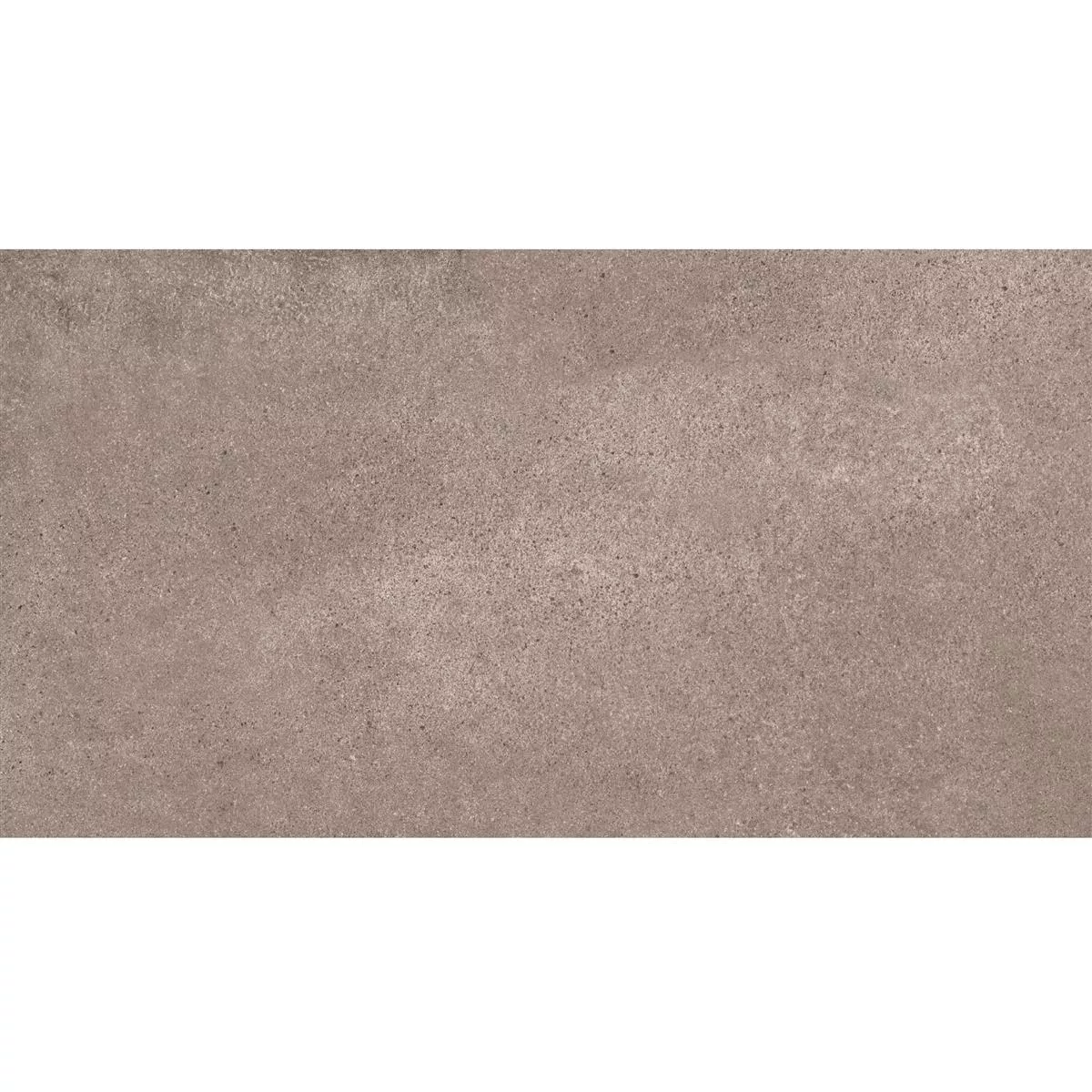 Sample Floor Tiles Stone Optic Riad Mat R9 Brown 30x60cm 