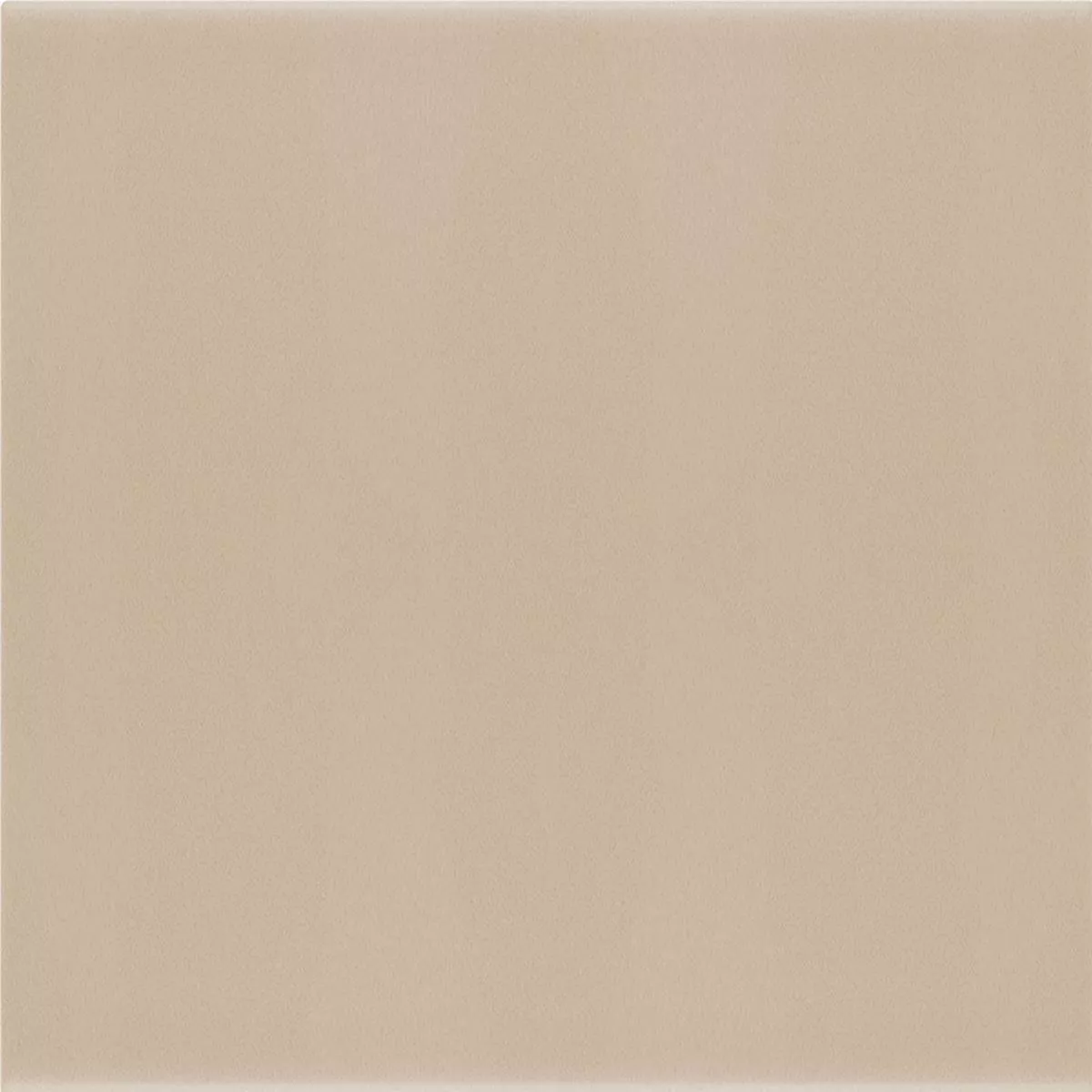 Carrelage Mural Belluno Pastell Taupe 12,4x12,4cm