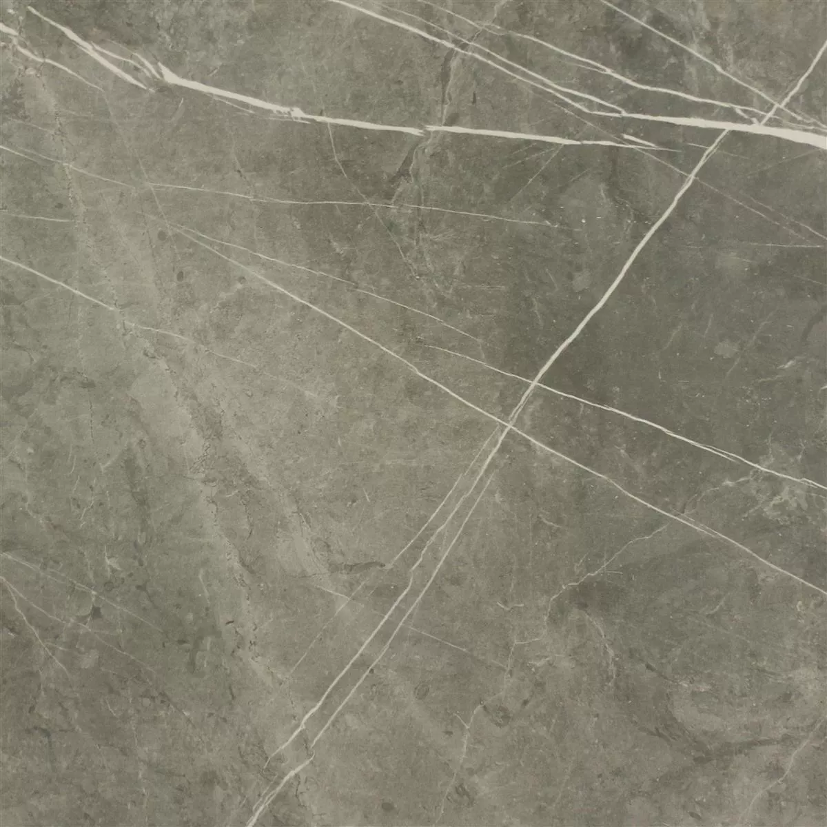 Sample Floor Tiles Astara Natural Stone Optic Polished Mist 60x60cm
