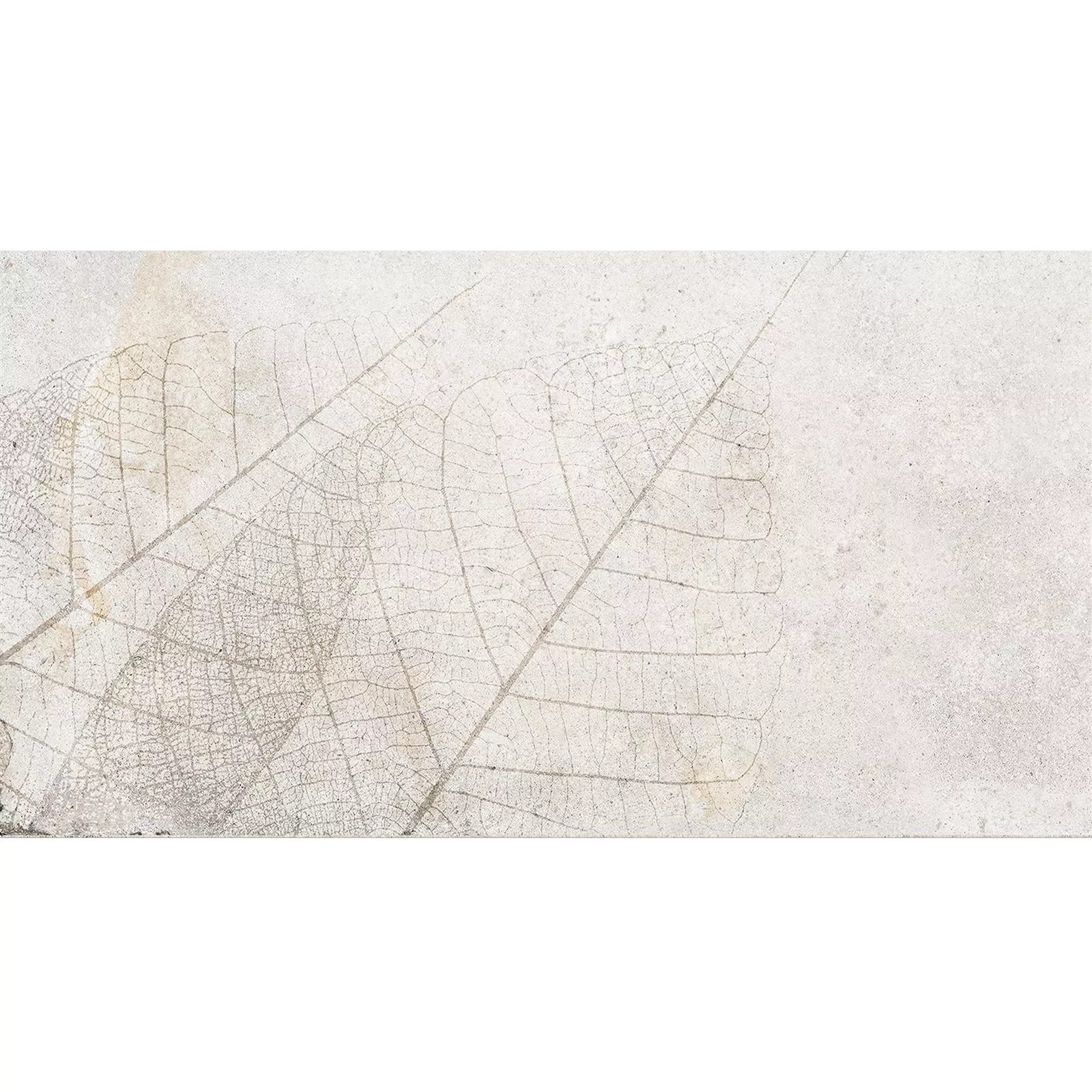 Wall Tiles Attila Grey Rectified Decor 3 30x60cm Wall Tiles Attila Grey Rectified Decor 3 30x60cm