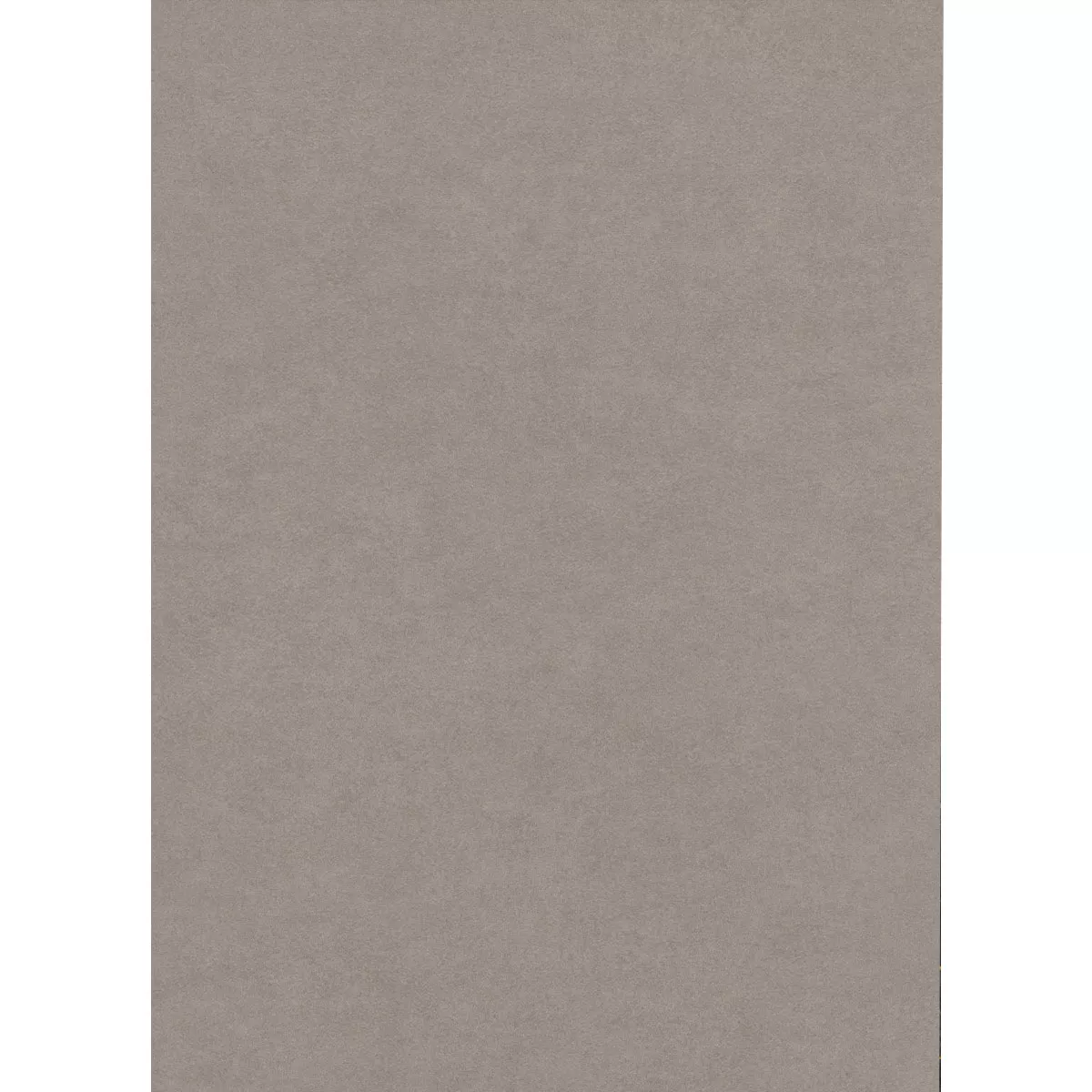 Kolossal Medium Grijs 60x120 cm 