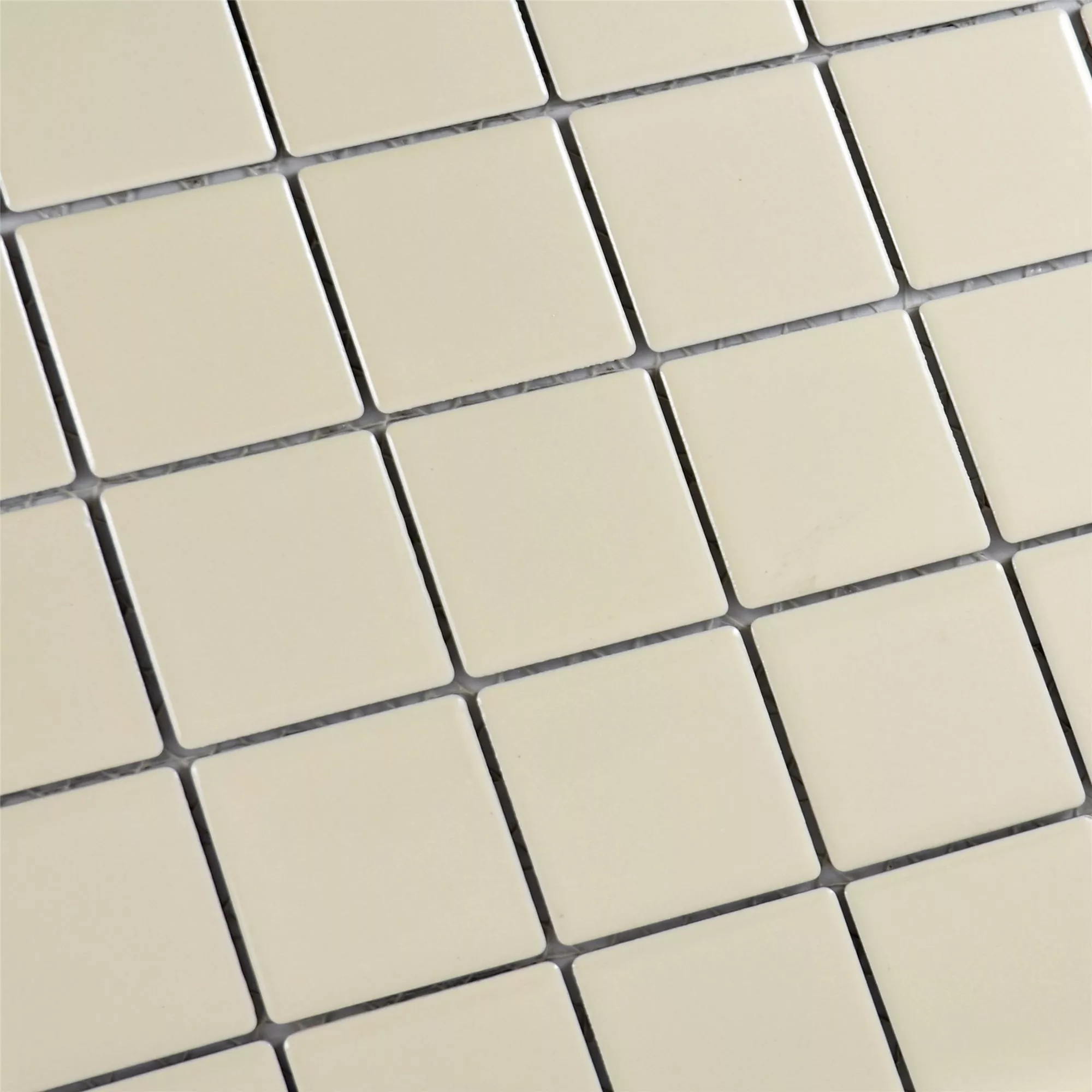 Ceramika Mozaika Adrian Beżowy Matowy Kwadrat 48