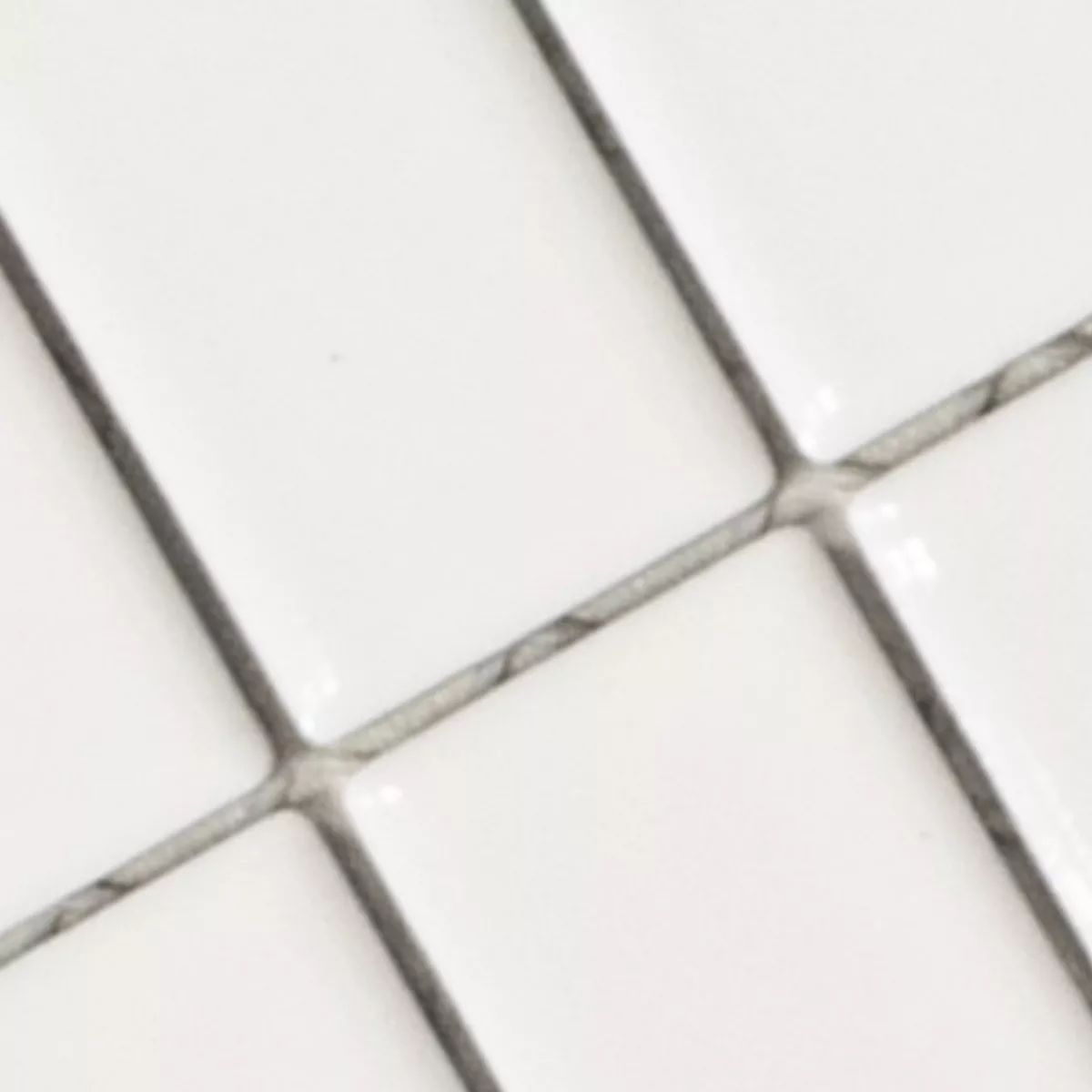 Sample Ceramic Mosaic Tiles Adrian White Glossy Rectangle