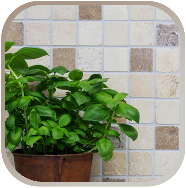 Travertine mosaic tiles