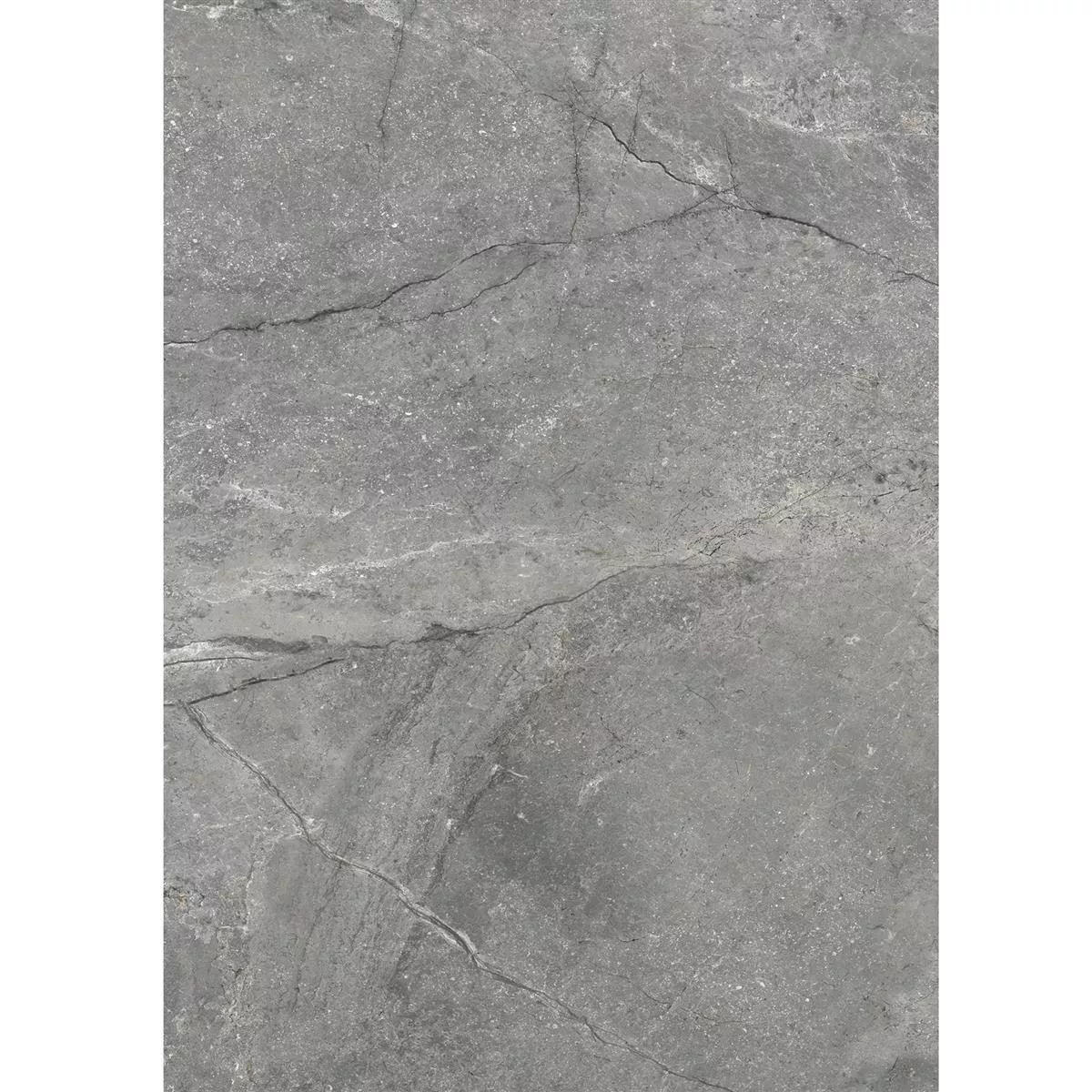 Πλακάκια Δαπέδου Pangea Μαρμάρινη Όψη Παγωμένος Γκρί 60x120cm