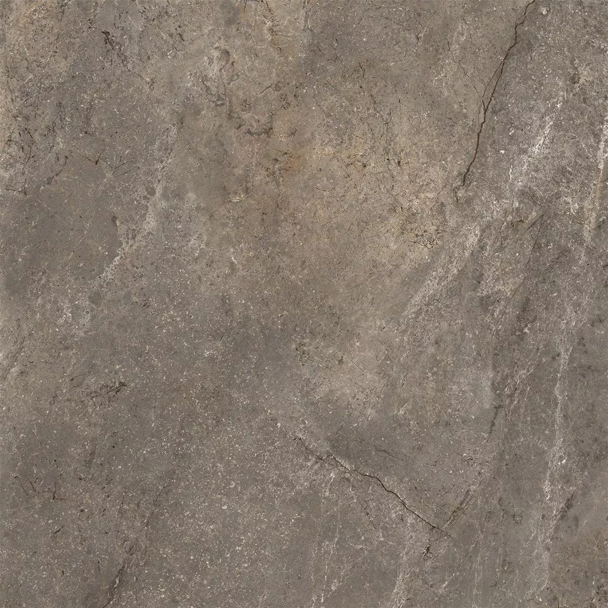 Muster von Bodenfliesen Pangea Marmoroptik Poliert Mokka 60x60cm