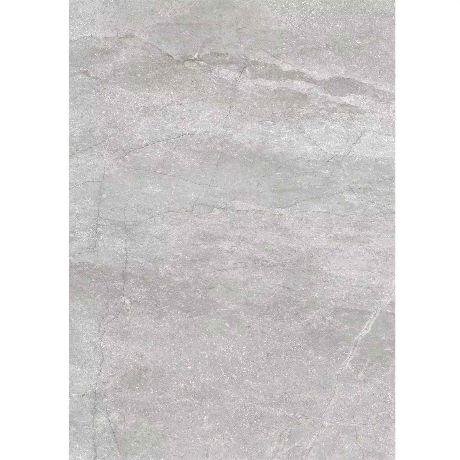 Muster Bodenfliese Noiron Poliert Silber 60x120cm