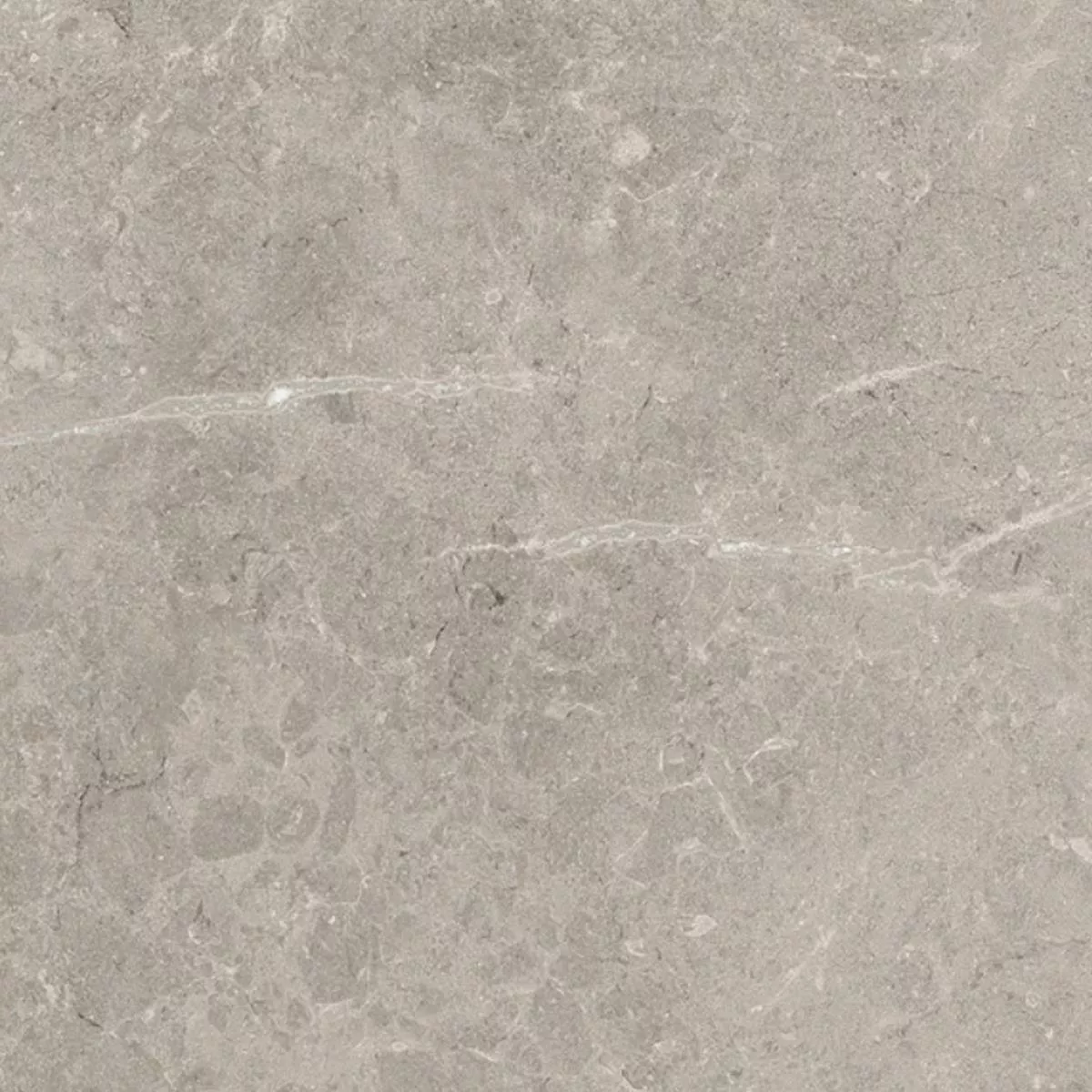 Terrace Tiles Porcelain Stoneware Arizona Grey 60x60x2 cm Terrace Tiles Porcelain Stoneware Arizona Grey 60x60x2 cm