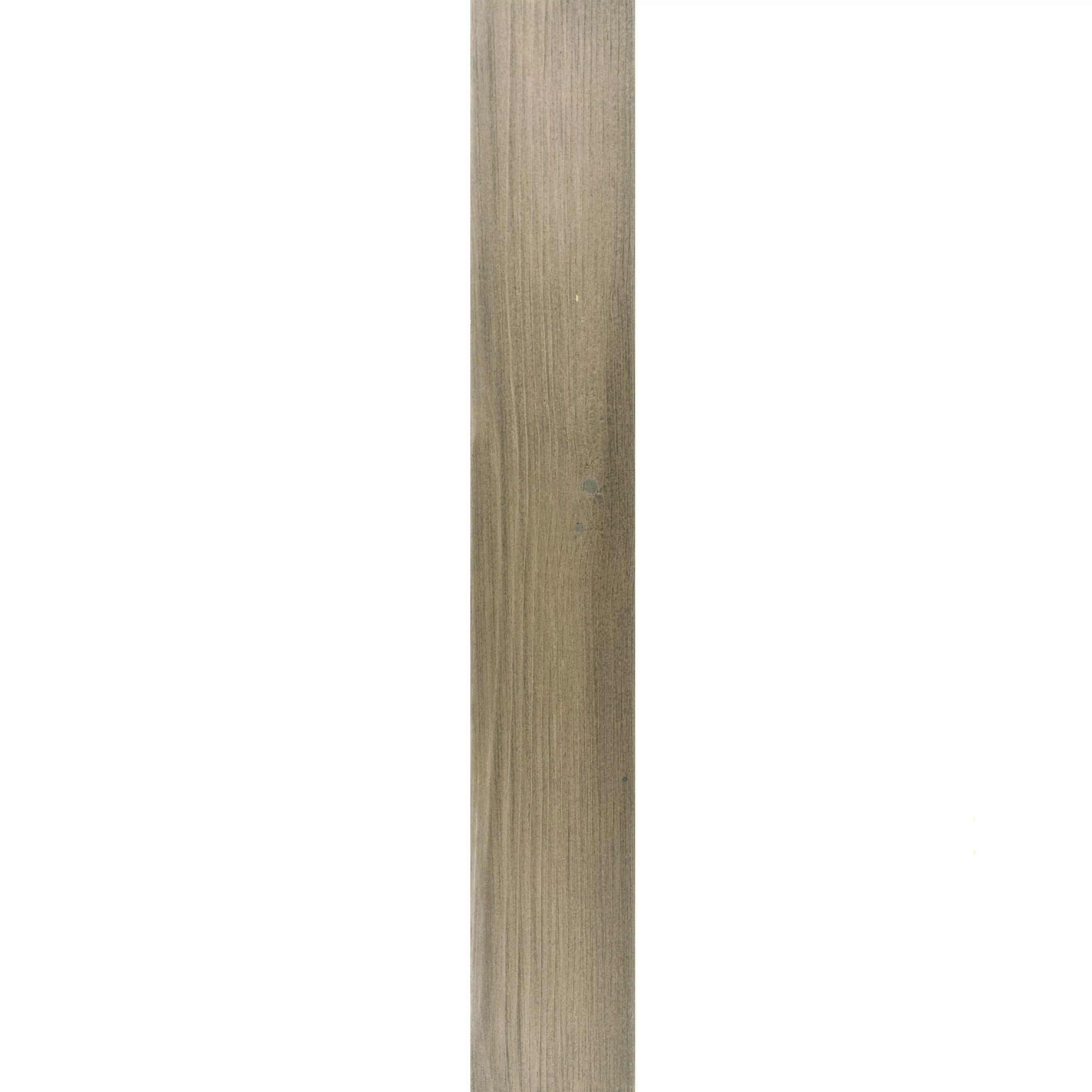 Wall Ties of Wood Paris Self Adhesive Beige Wall Ties of Wood Paris Self Adhesive Beige