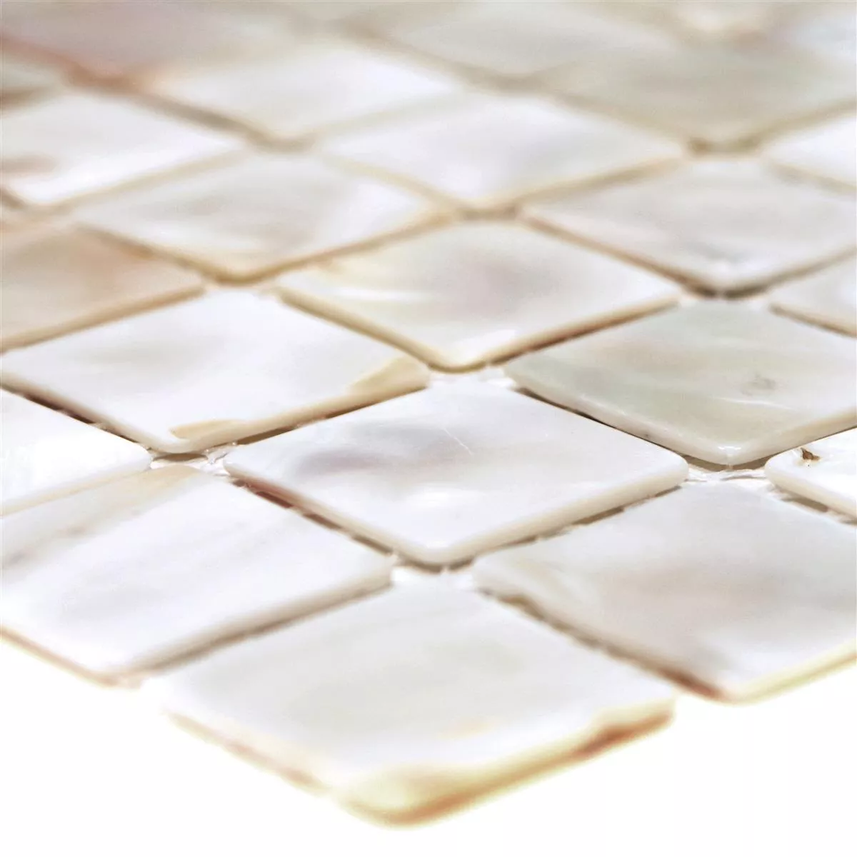 Sample Mosaic Tiles Nacre Xenia White