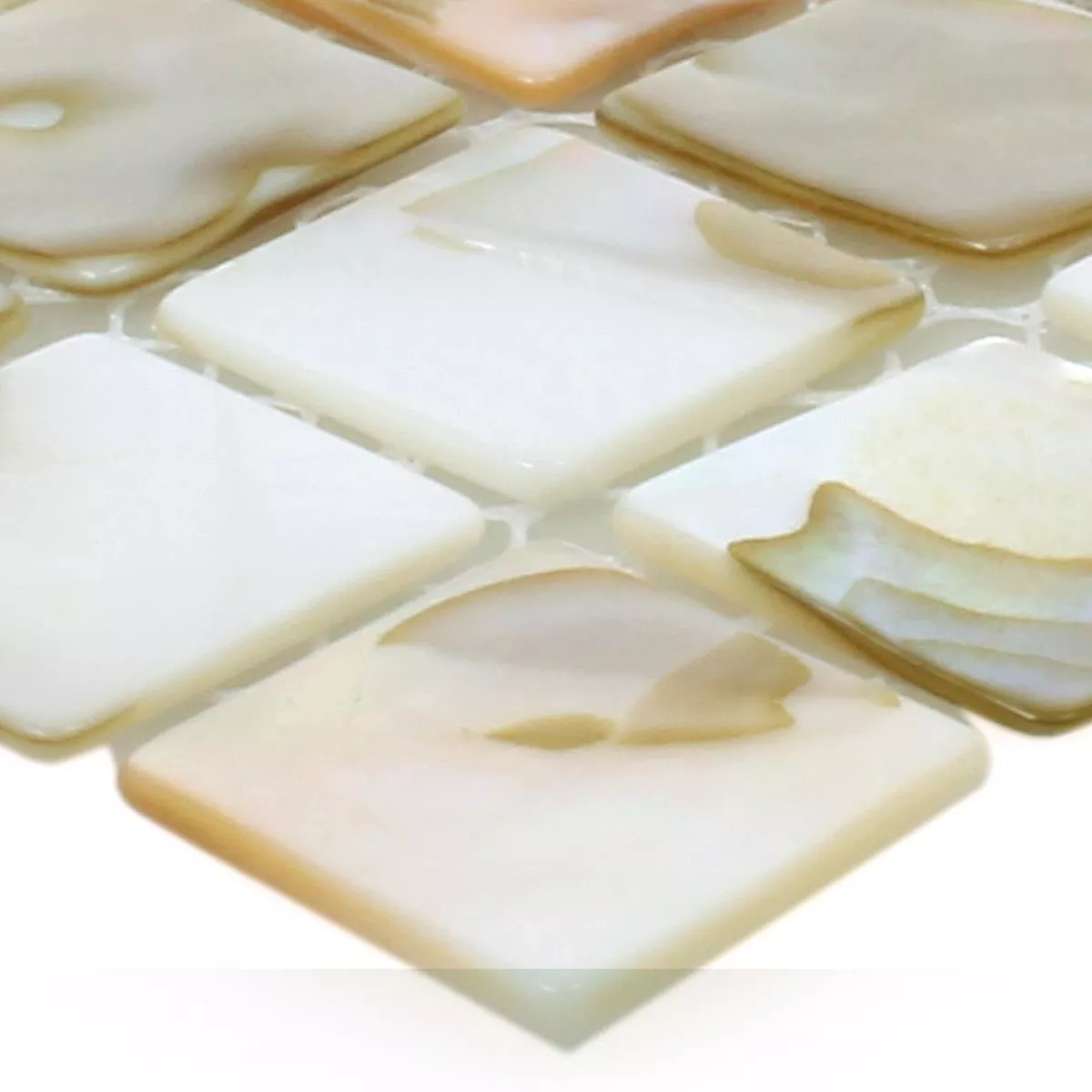 Sample Mosaic Tiles Shell Kordon Light Beige