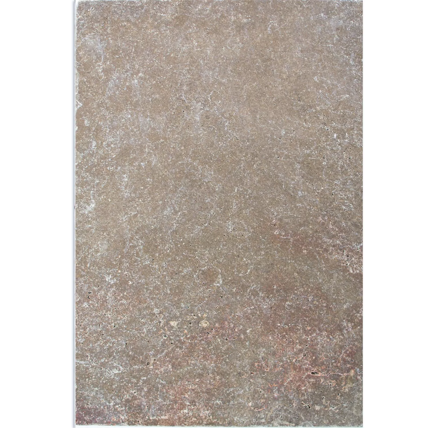Natursteinfliesen Travertin Patara Noce 40,6x61cm Natursteinfliesen Travertin Patara Noce 40,6x61cm