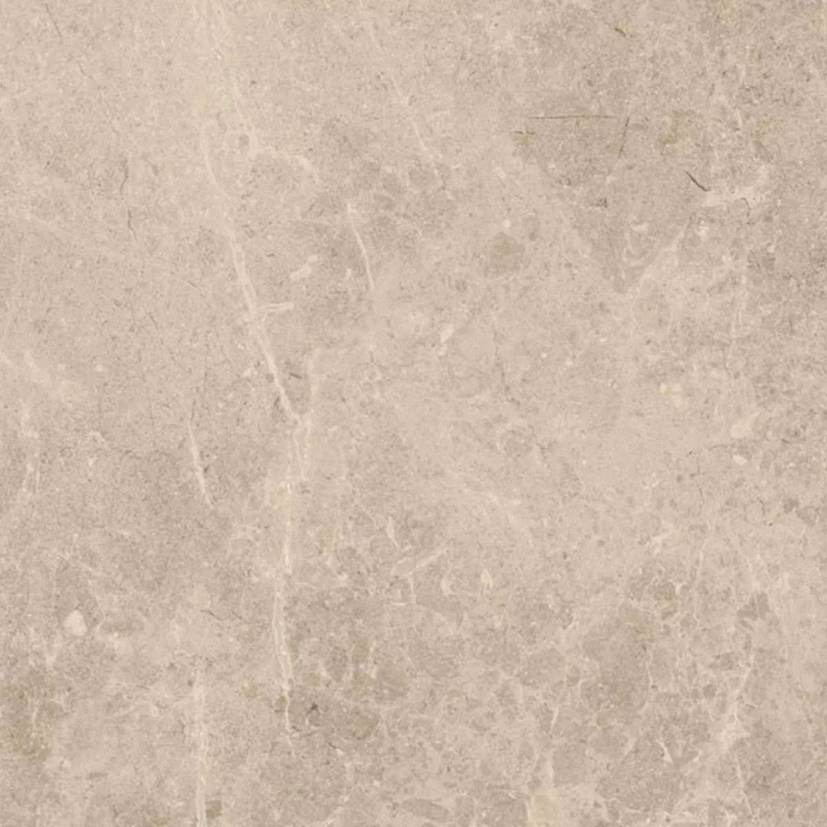 Piastrella Esterni Gres Porcellanato Arizona Beige 60x60x2 cm