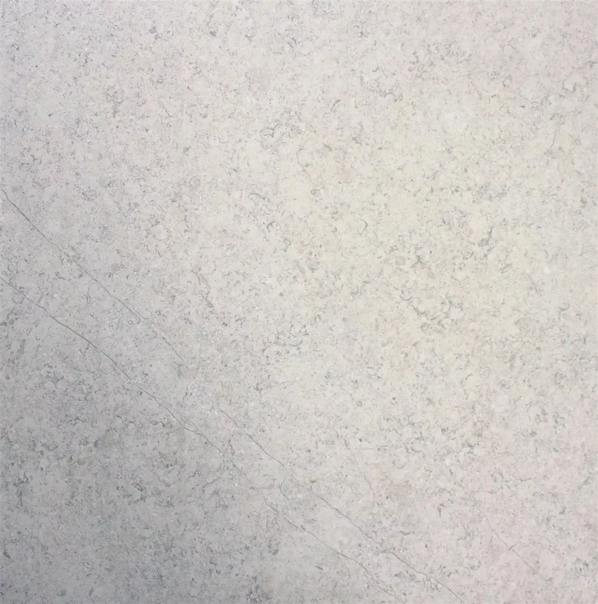 Płytki Podłogowe Kamień Optyka Shaydon Kość Słoniowa 60x60cm