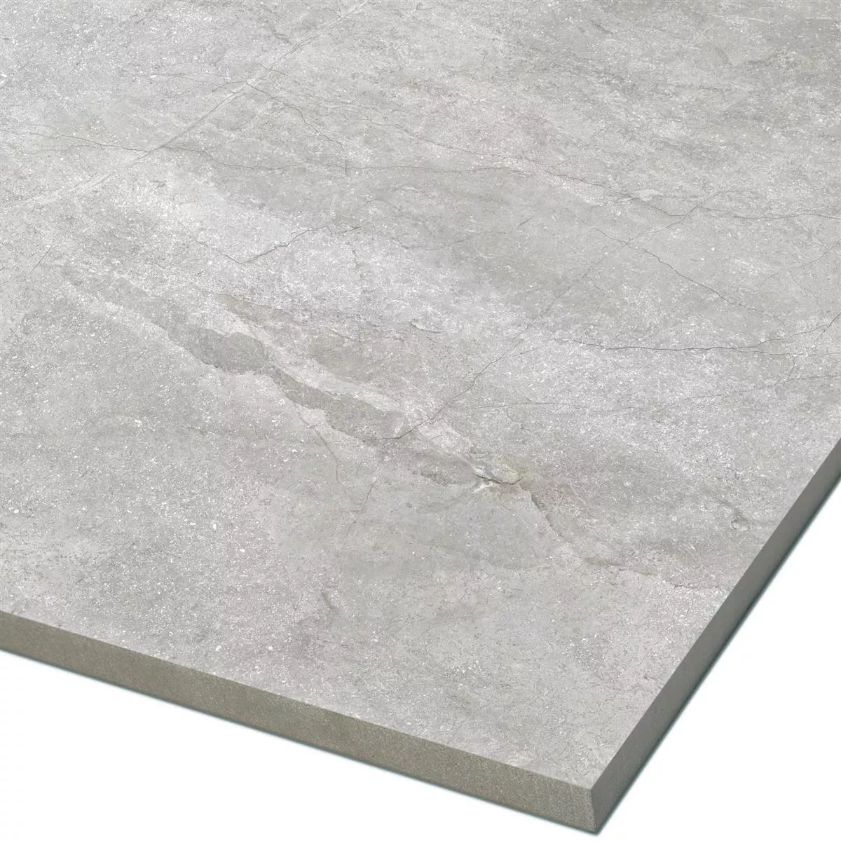 Sample Floor Tiles Pangea Marble Optic Mat Silver 120x120cm