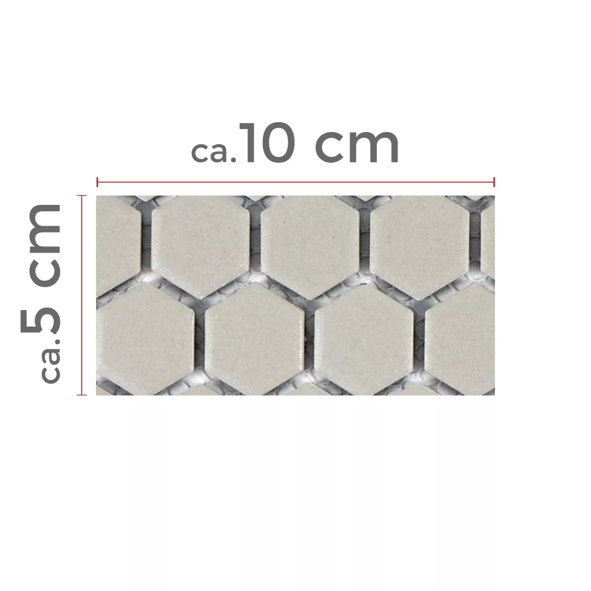 Campione Ceramica Mosaico Hexagon Zeinal Non Smaltato Grigio Chiaro R10B