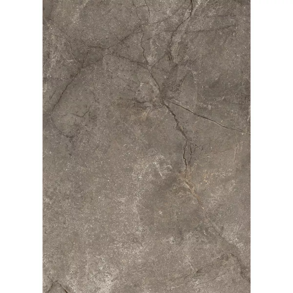 Floor Tiles Pangea Marble Optic Mat Mokka 60x120cm