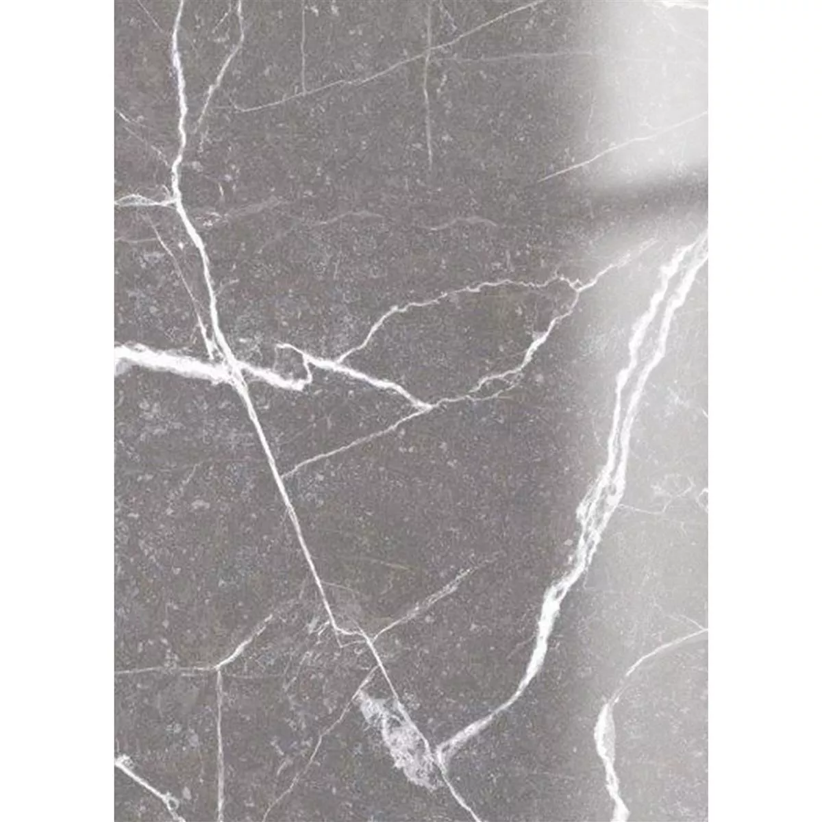 Floor Tiles Santana Marble Optic Polished Grey 60x120cm