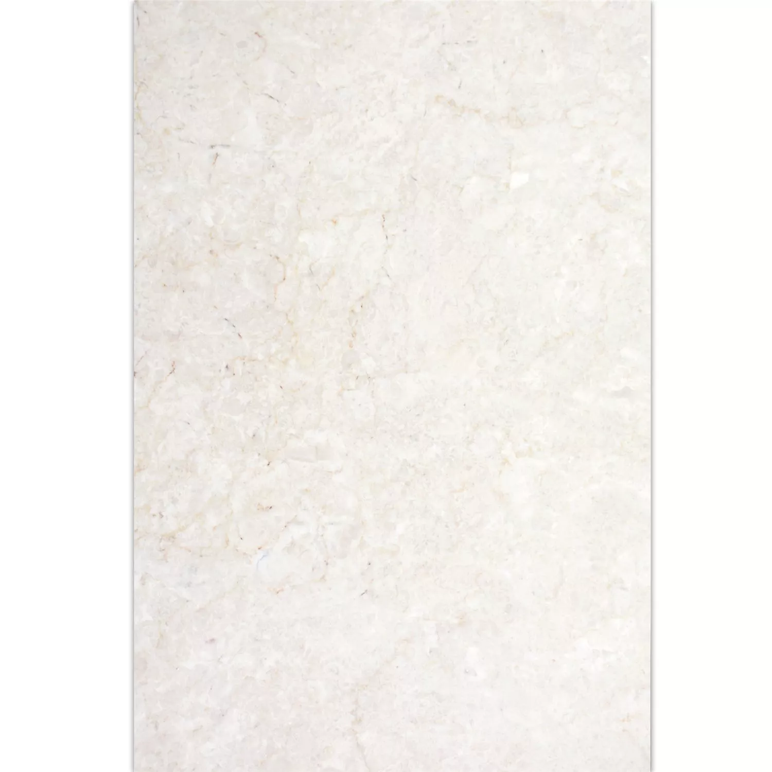 Naturstein Fliser Marmor Afyon Beige 40,6x61cm