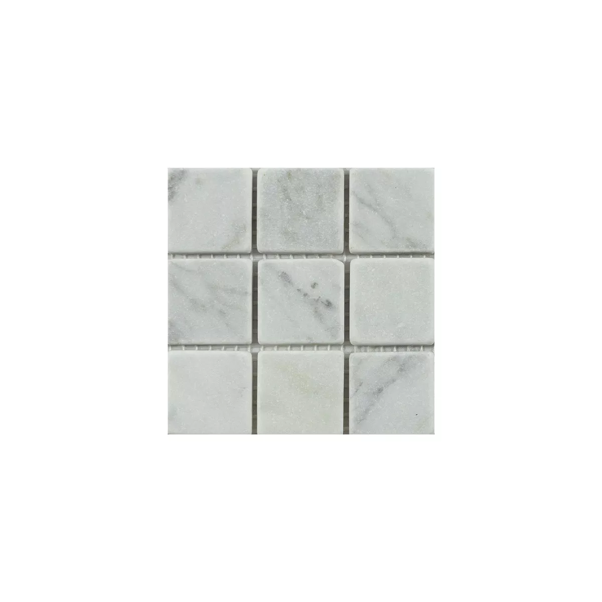 Sample Marble Natural Stone Mosaic Tiles Venantius Blanc