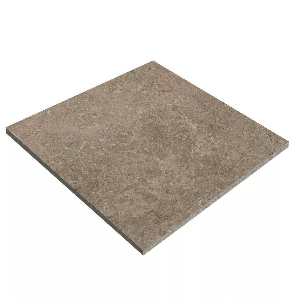 Dalles De Terrasse Grès Cérame Pleine Masse Arizona Taupe 60x60x2 cm