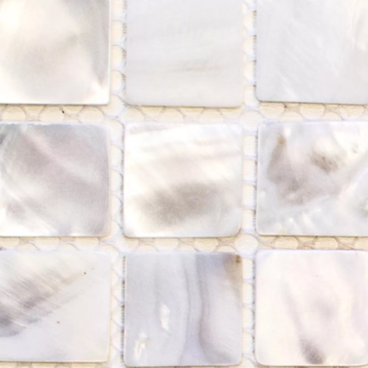 Sample Mosaic Tiles Nacre Xenia White