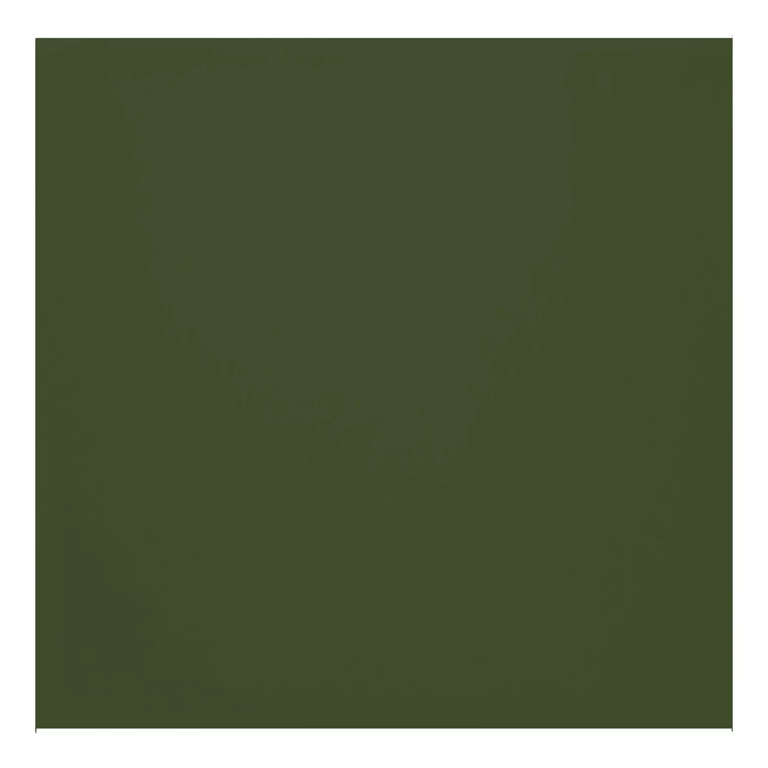 Metro tile Green Mat 10x10 cm Without Facet Freyburg Botella