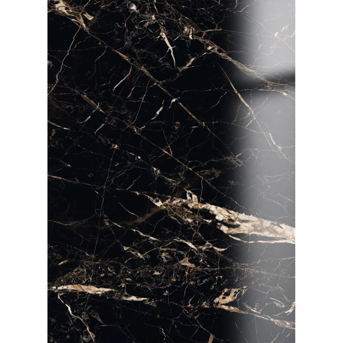 Bodenfliesen Trento Marmoroptik Schwarz Gold Poliert Glänzend 60x120cm