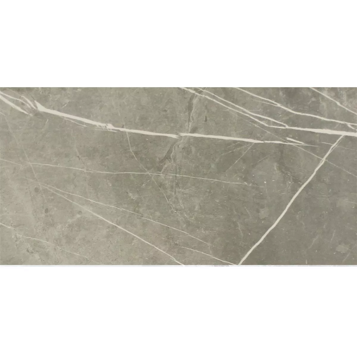 Gresie Astara Aspect De Piatră Naturală Lustruit Grey 30x60cm