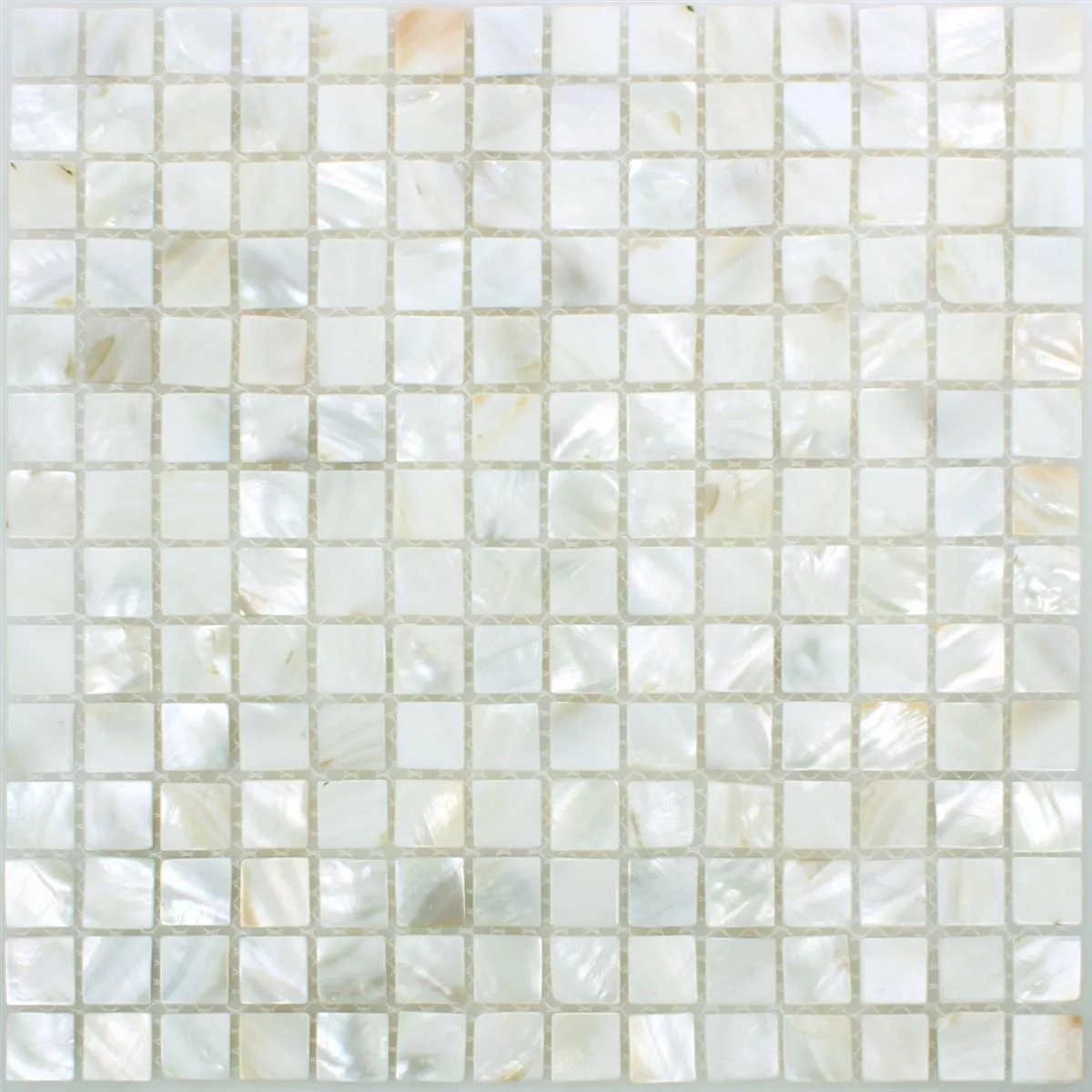 Mozaik Csempe Héj Kordon Fehér