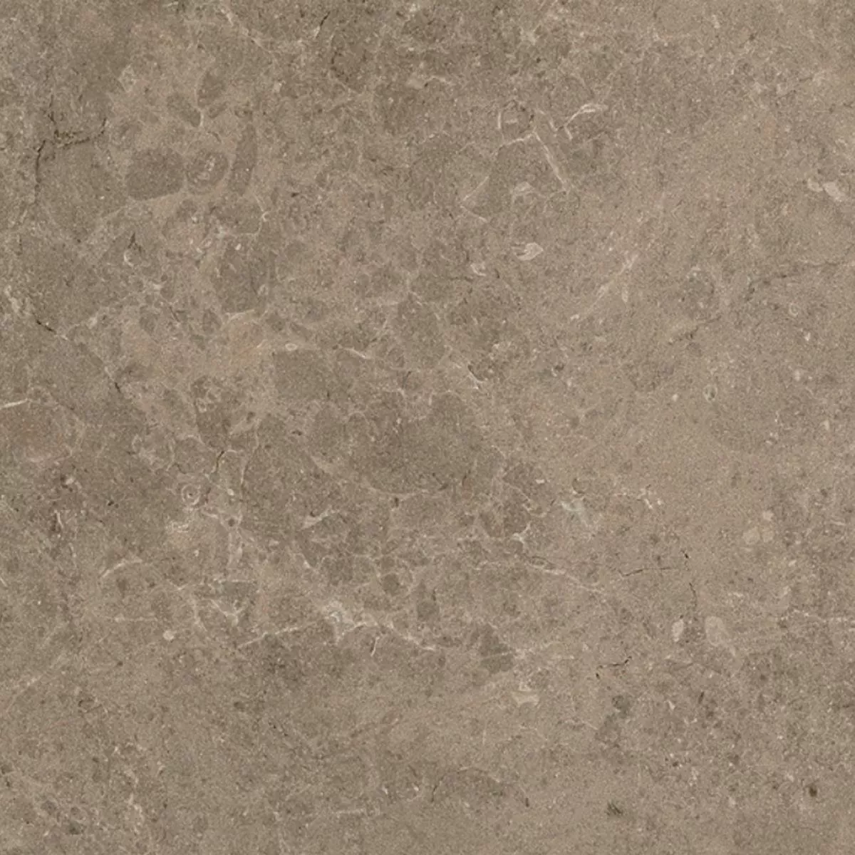 Piastrella Esterni Gres Porcellanato Arizona Taupe 60x60x2 cm