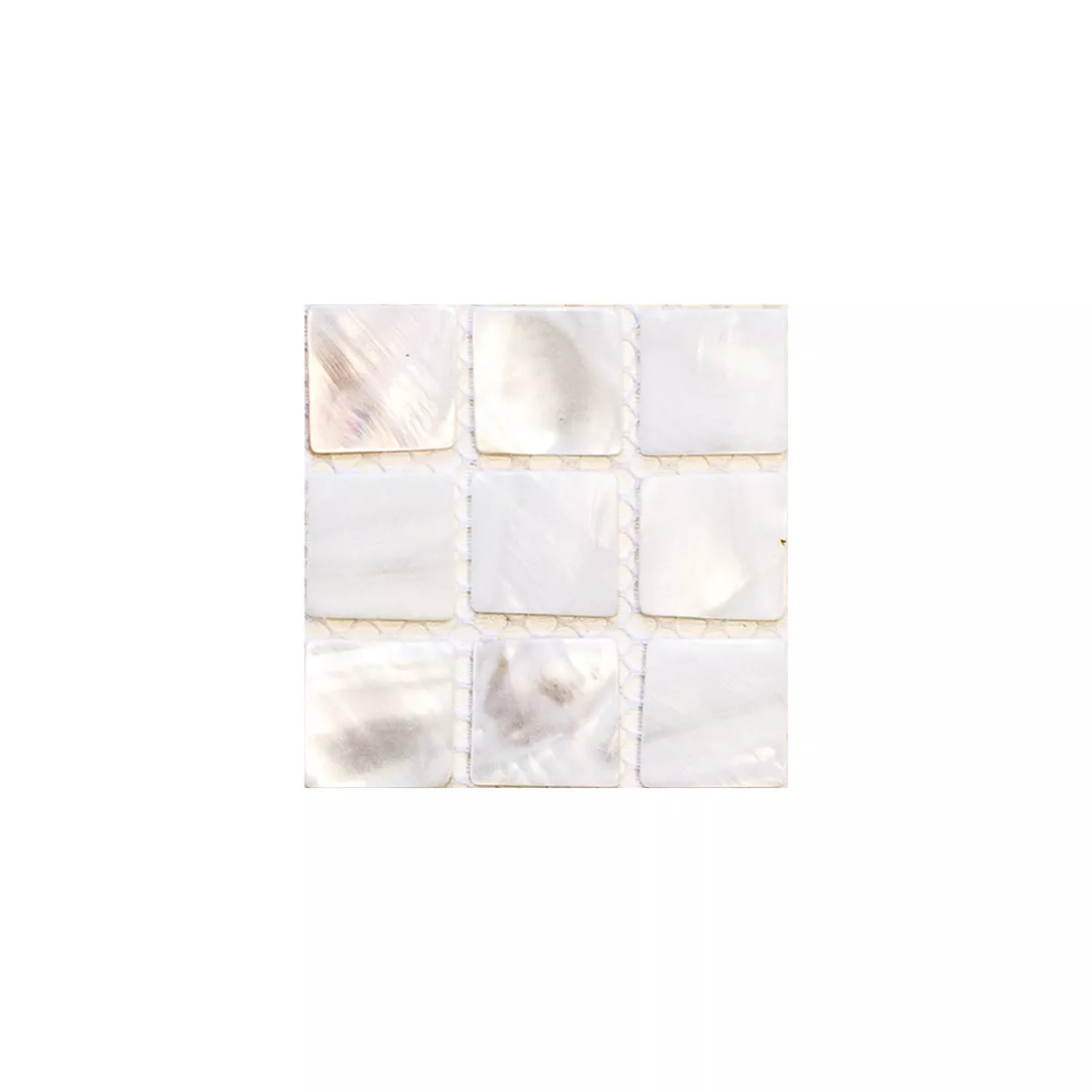 Sample Mosaic Tiles Nacre Xenia White