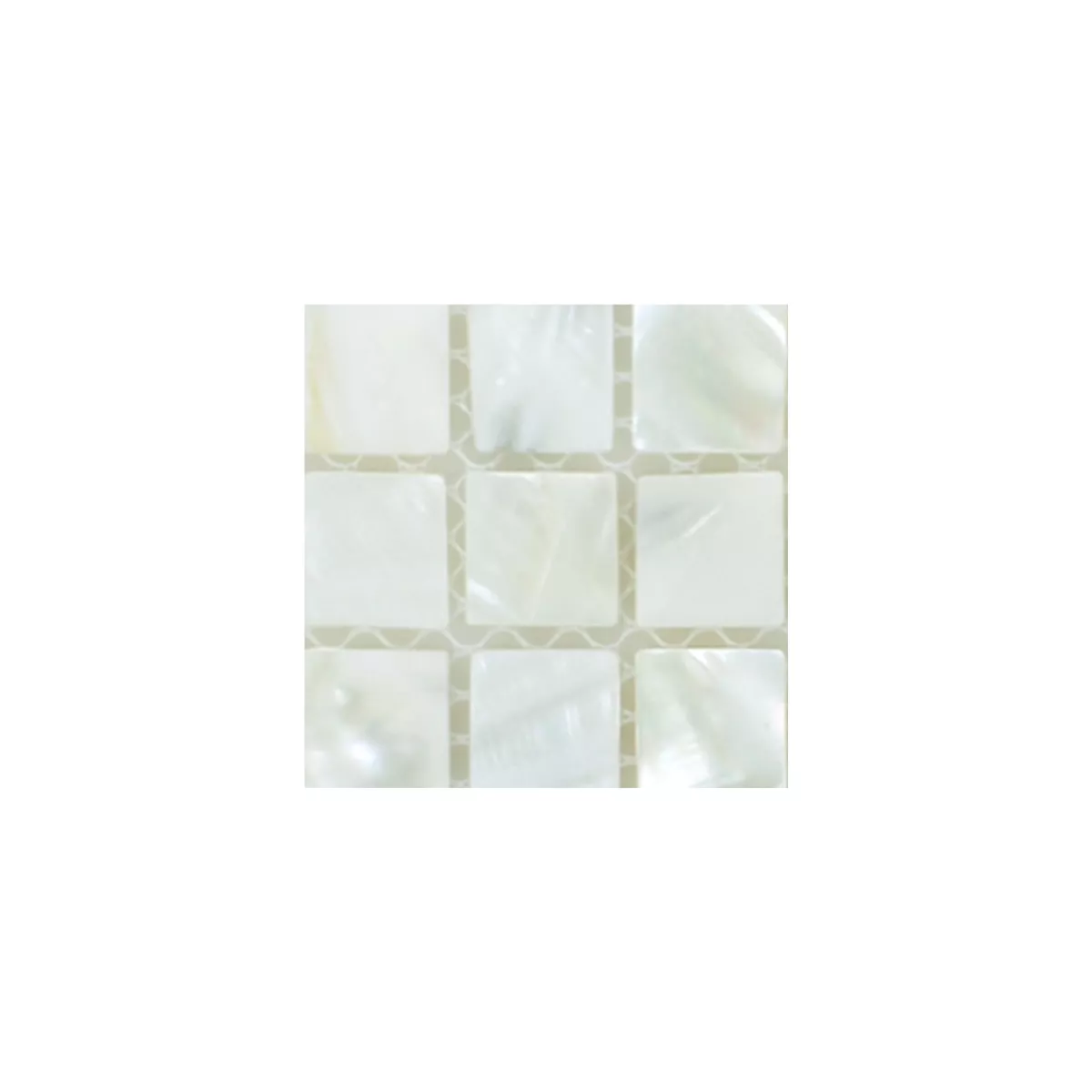 Padrão de Azulejo Mosaico Concha Kordon Branco