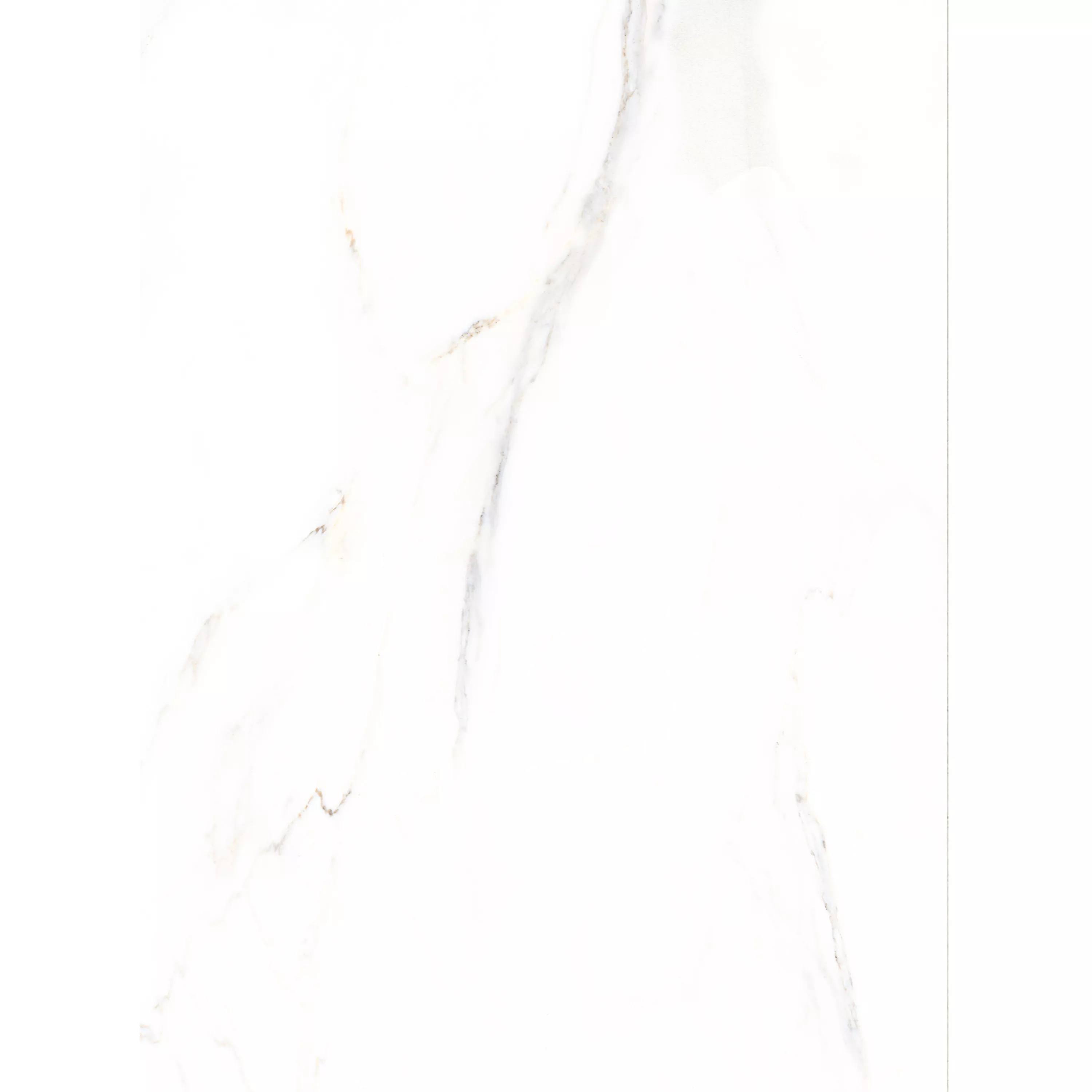 Floor Tiles Rice Marble Optic Calacatta Polished 58x118cm Floor Tiles Rice Marble Optic Calacatta Polished 58x118cm