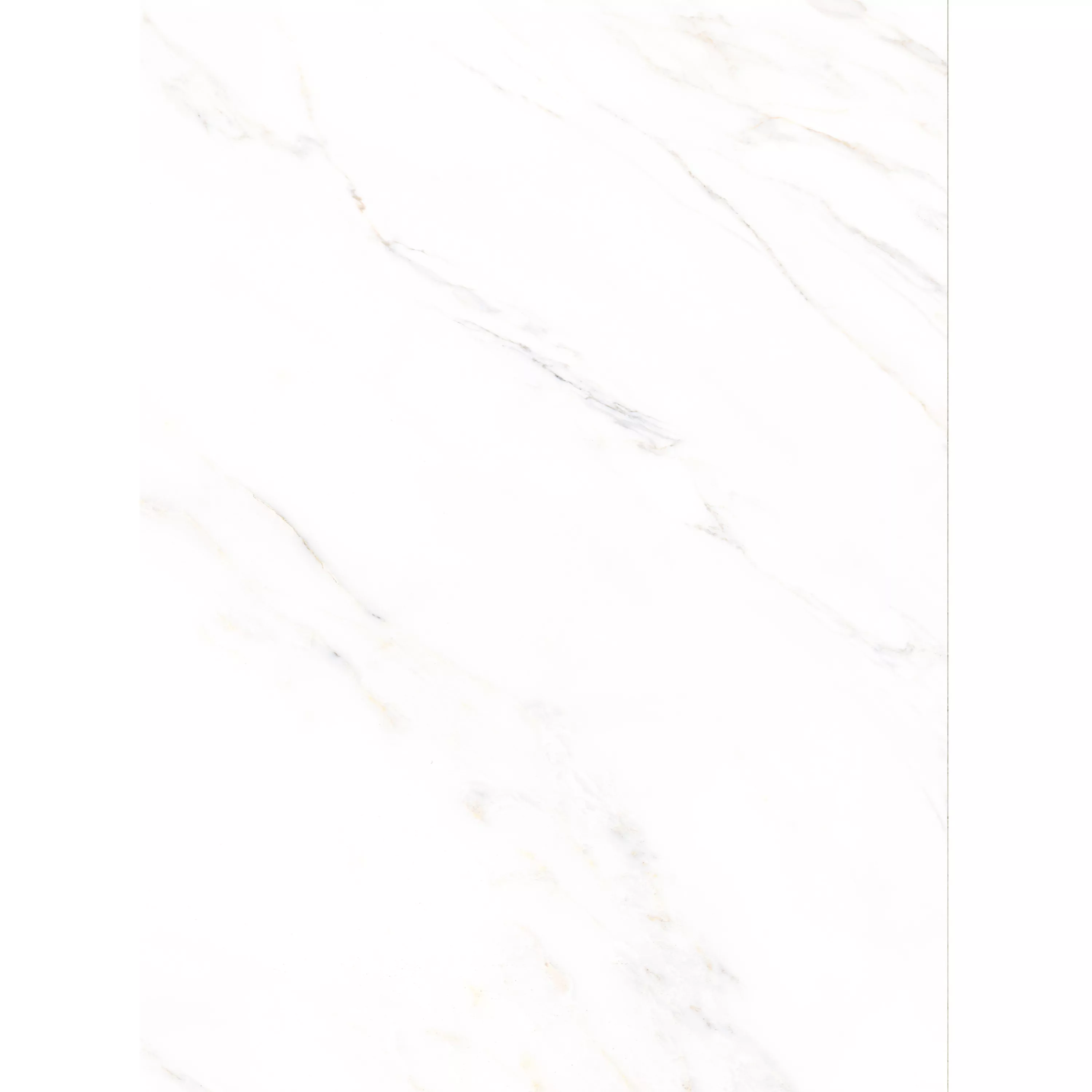 Floor Tiles Rice Marble Optic Calacatta Polished 58x118cm
