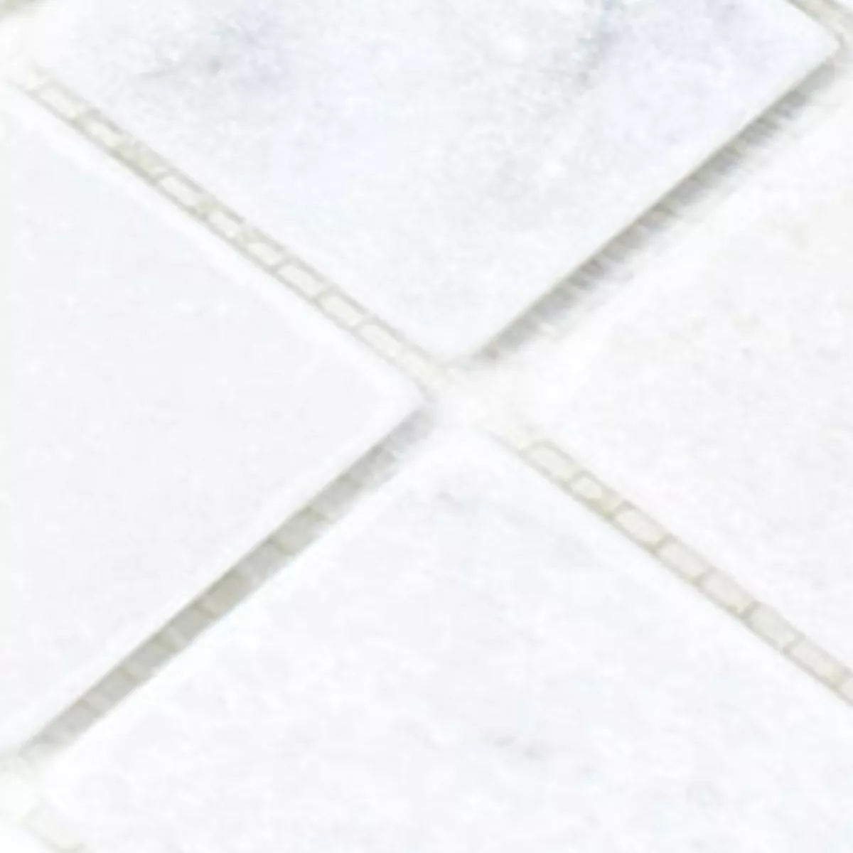 Próbka Mozaika Marmur Treviso Biały 48