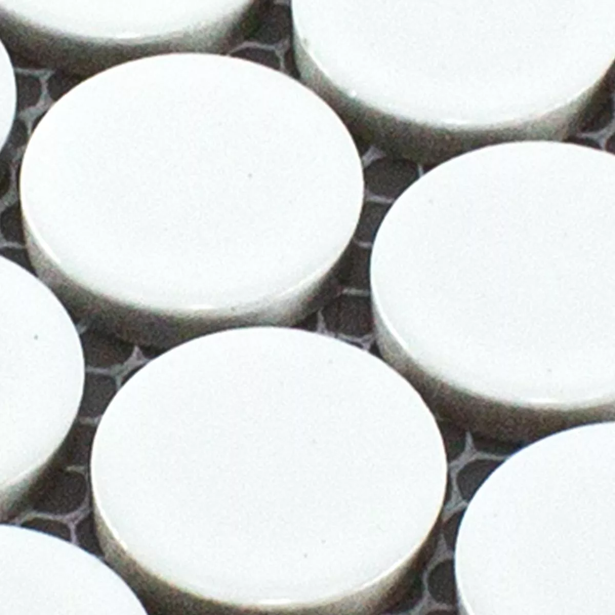 Échantillon Céramique Bouton Mosaïque Carrelage LaRosita Blanc Mat