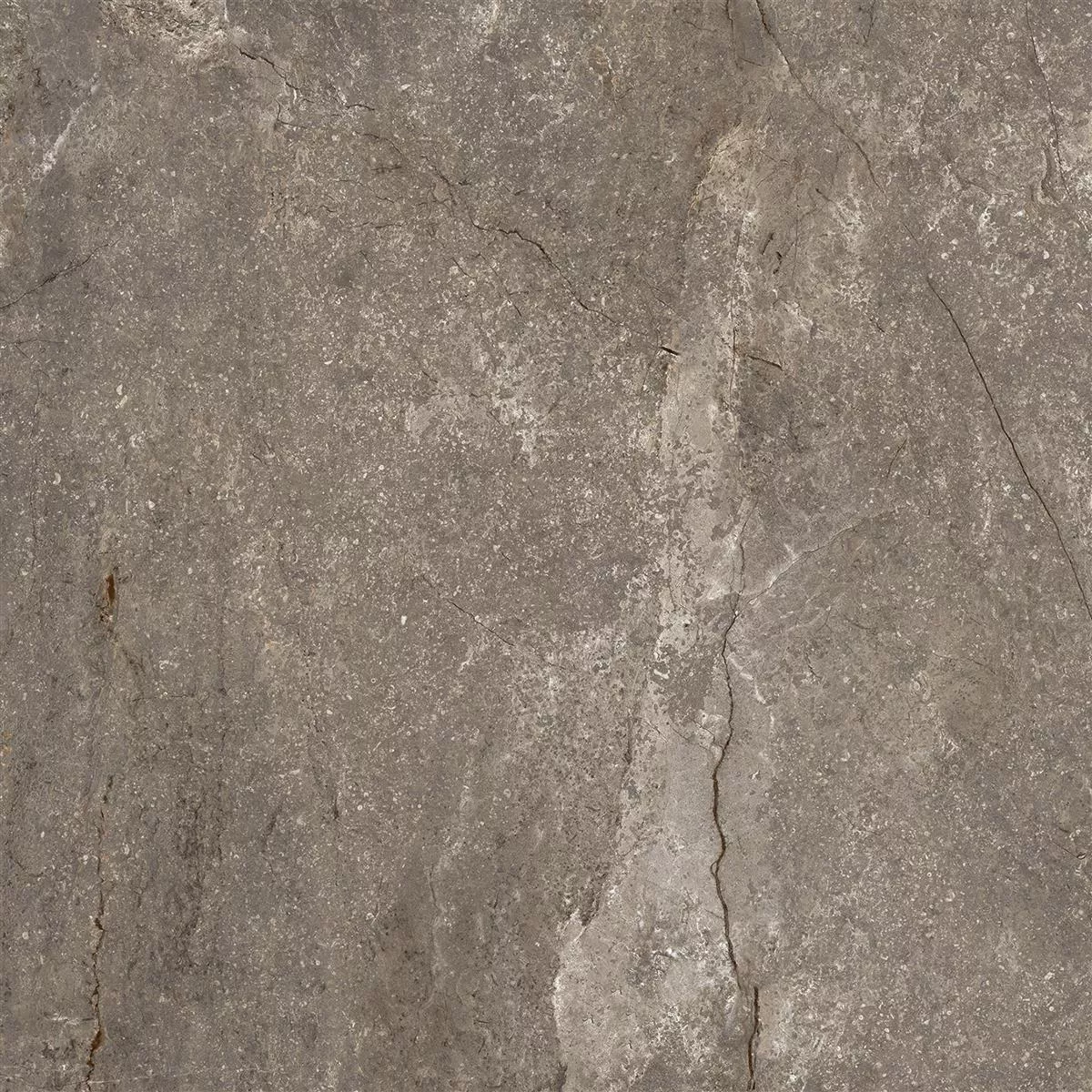 Muster von Bodenfliesen Pangea Marmoroptik Poliert Mokka 60x60cm