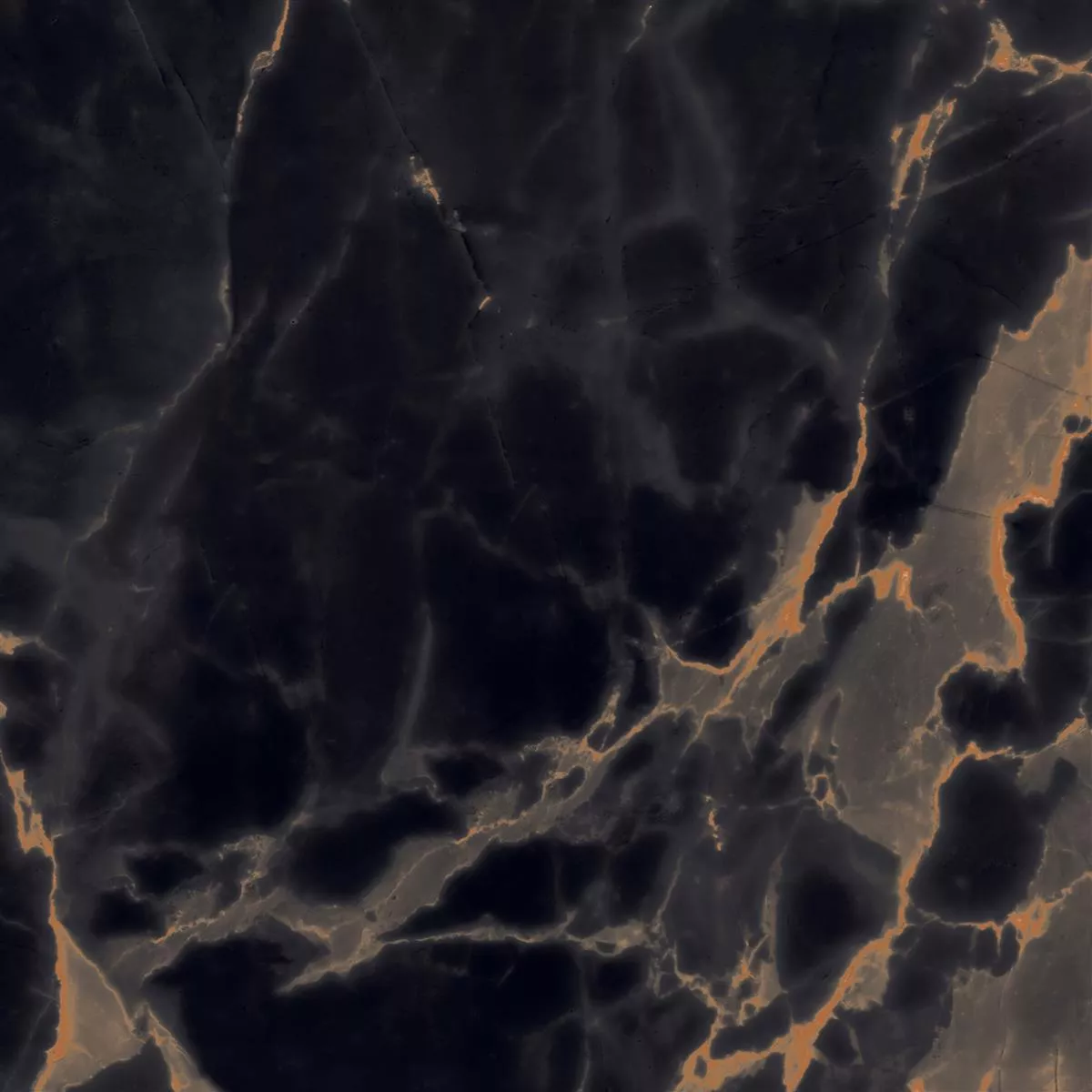 Floor Tiles Livingstone Black Gold Polished 120x120cm