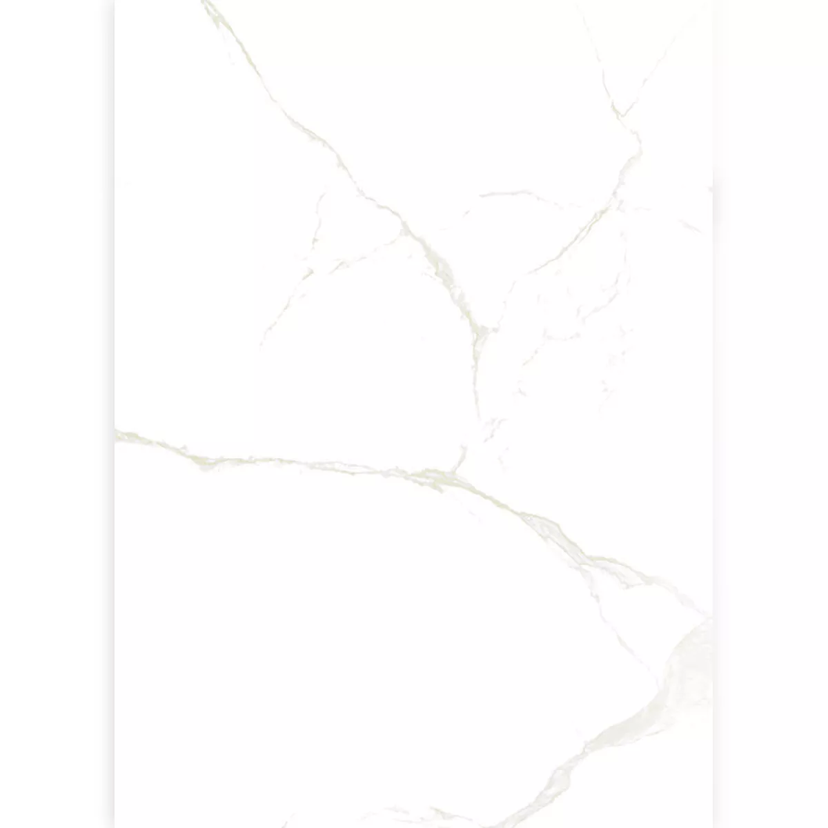 Floor Tiles Ampezzo Calacatta Marble Optic Blanc Beige Polished Glossy 60x120cm