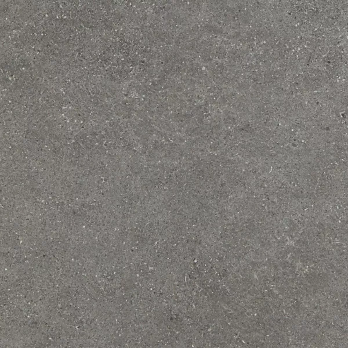 Terrace Tiles Porcelain Stoneware Cremona Grey Natural stone look 60x60x2cm