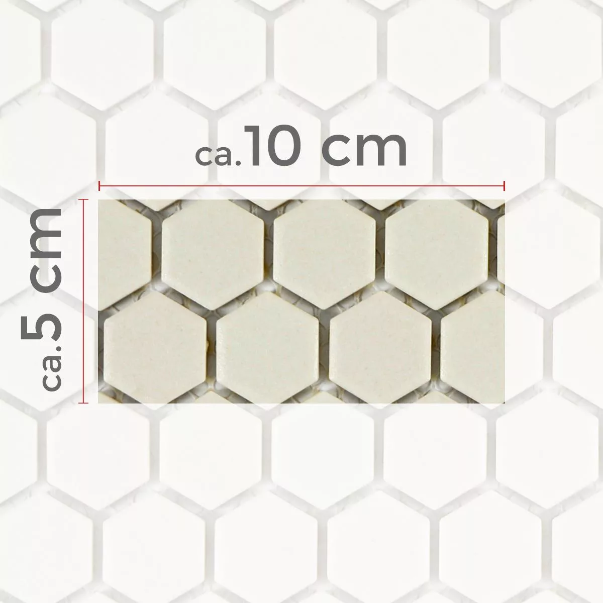 Sample Ceramic Mosaic Tiles Hexagon Zeinal Unglazed Light Beige R10B