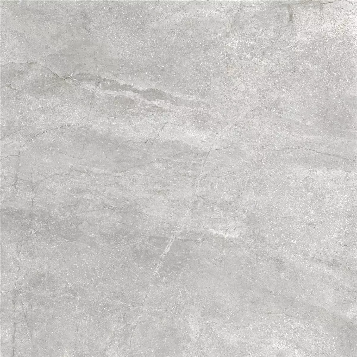 Gresie Pangea Aspect De Marmură Lustruit Argint 60x60cm
