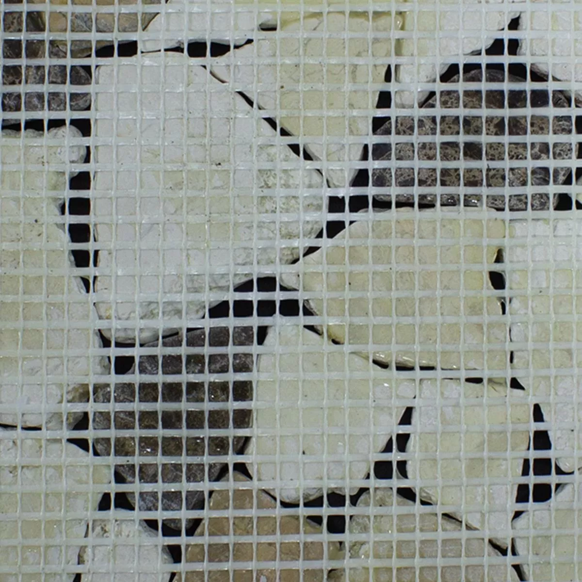 Marmorbrudd Mosaikkfliser Dolcevista Brun Hvit