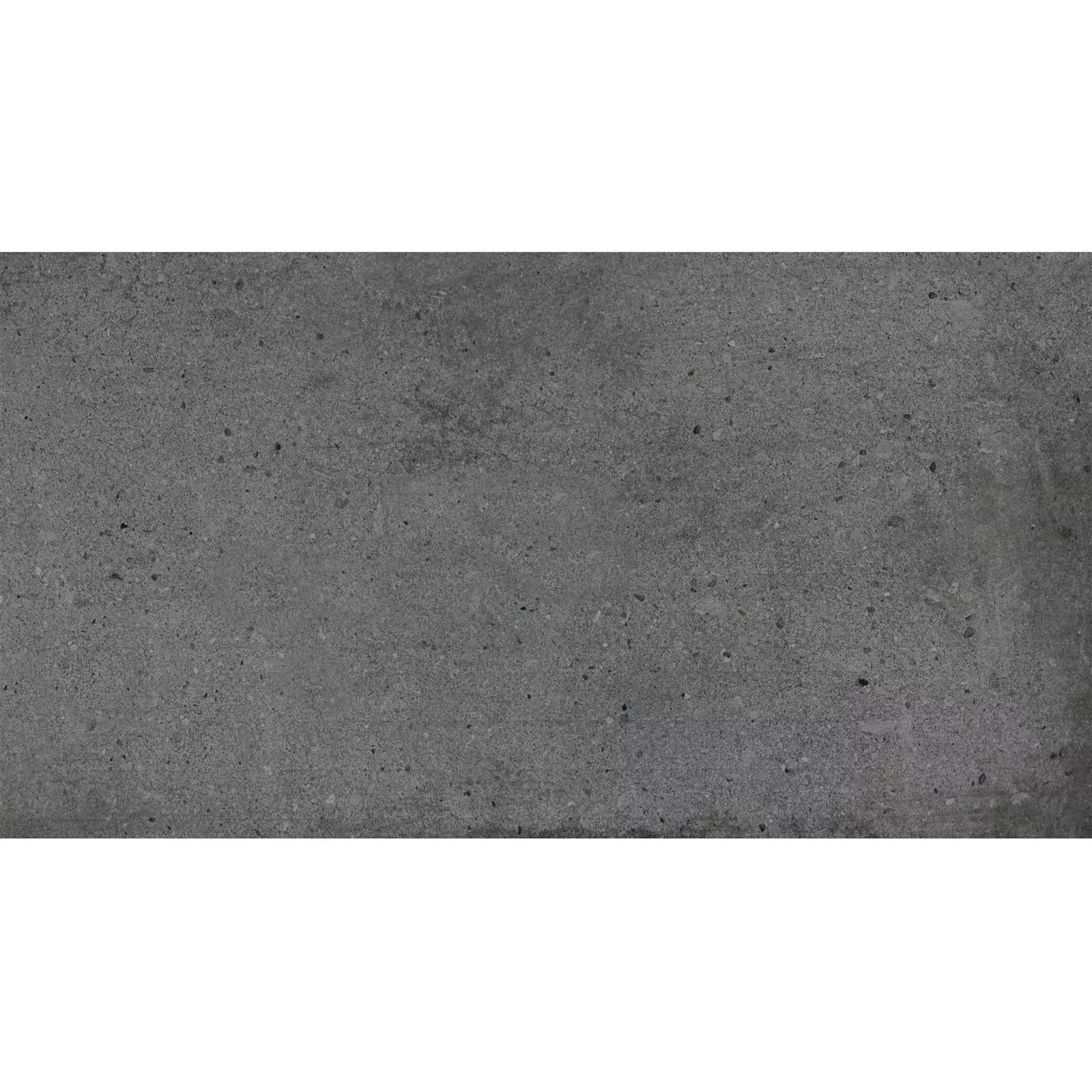 Floor Tiles Freeland Stone Optic R10/B Anthracite 30x60cm