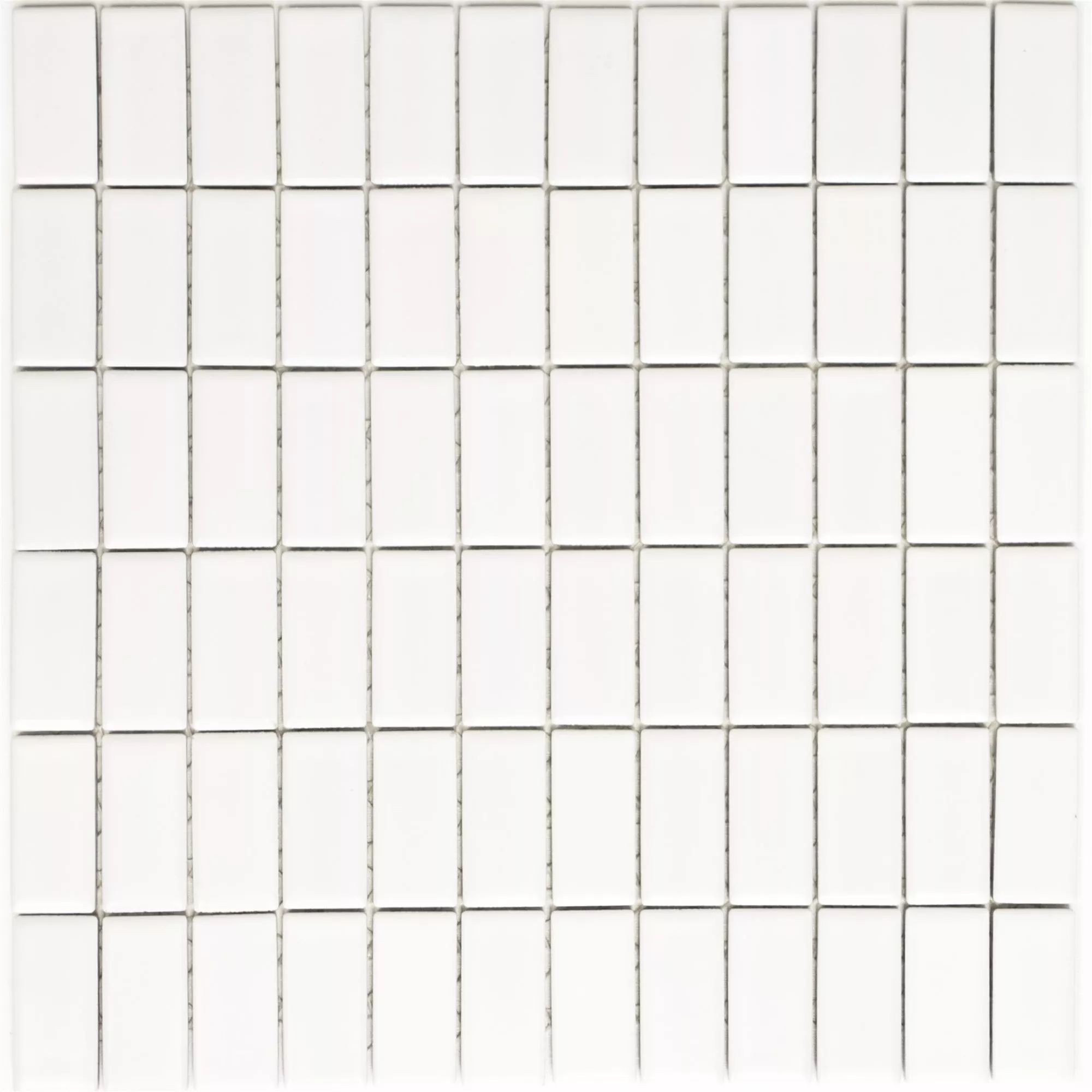 Kεραμικά Ψηφιδωτά Πλακάκια Adrian Ασπρο Παγωμένος Ορθωγώνιο