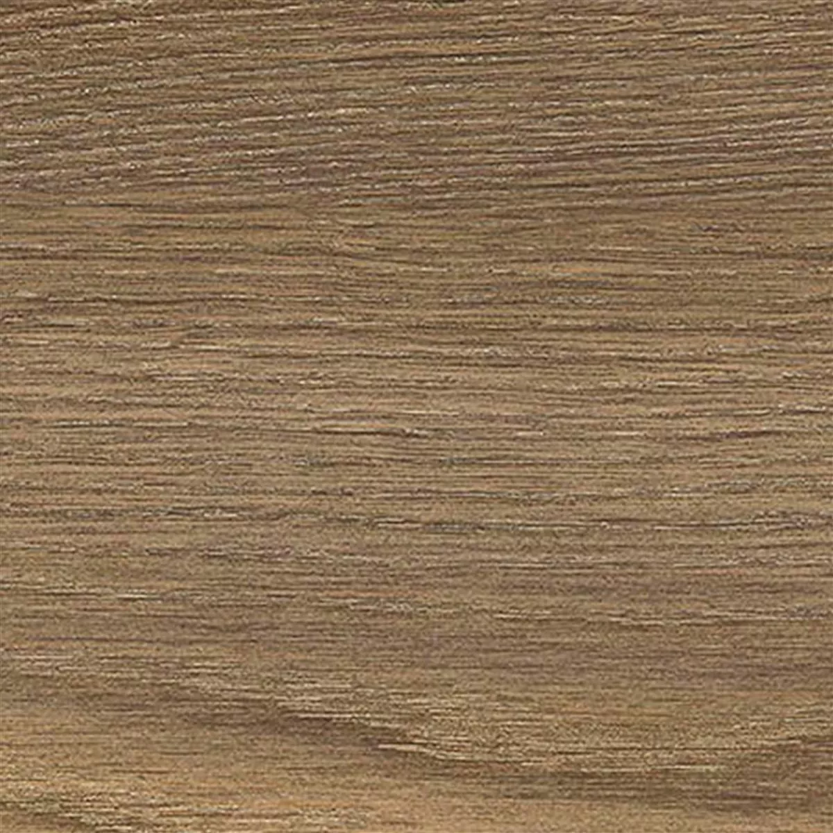 Próbka Płytki Podłogowe Regina Wygląd Drewna 20x120cm Natural